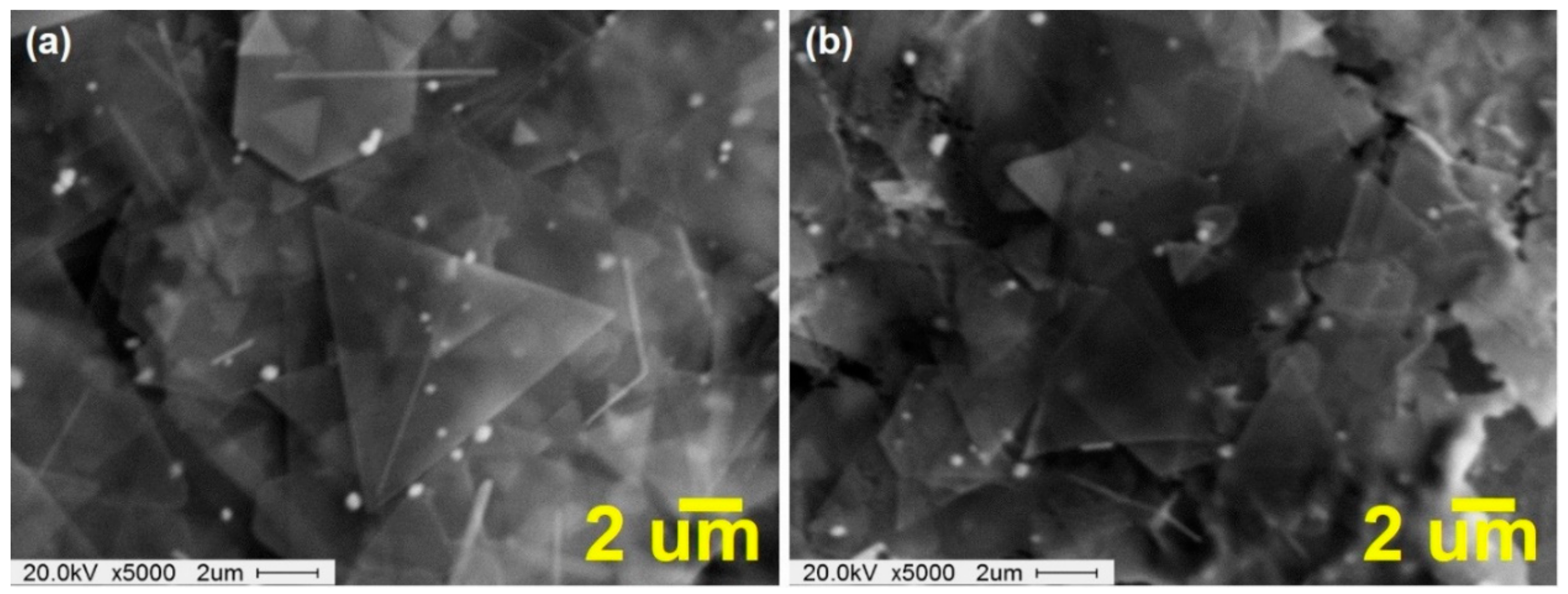 Coatings 10 00088 g004