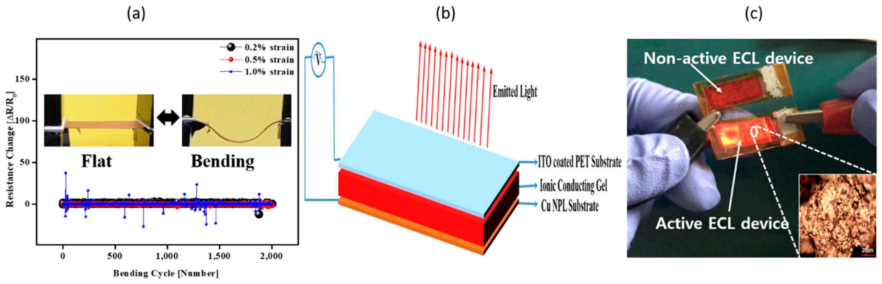 Coatings 10 00088 g006