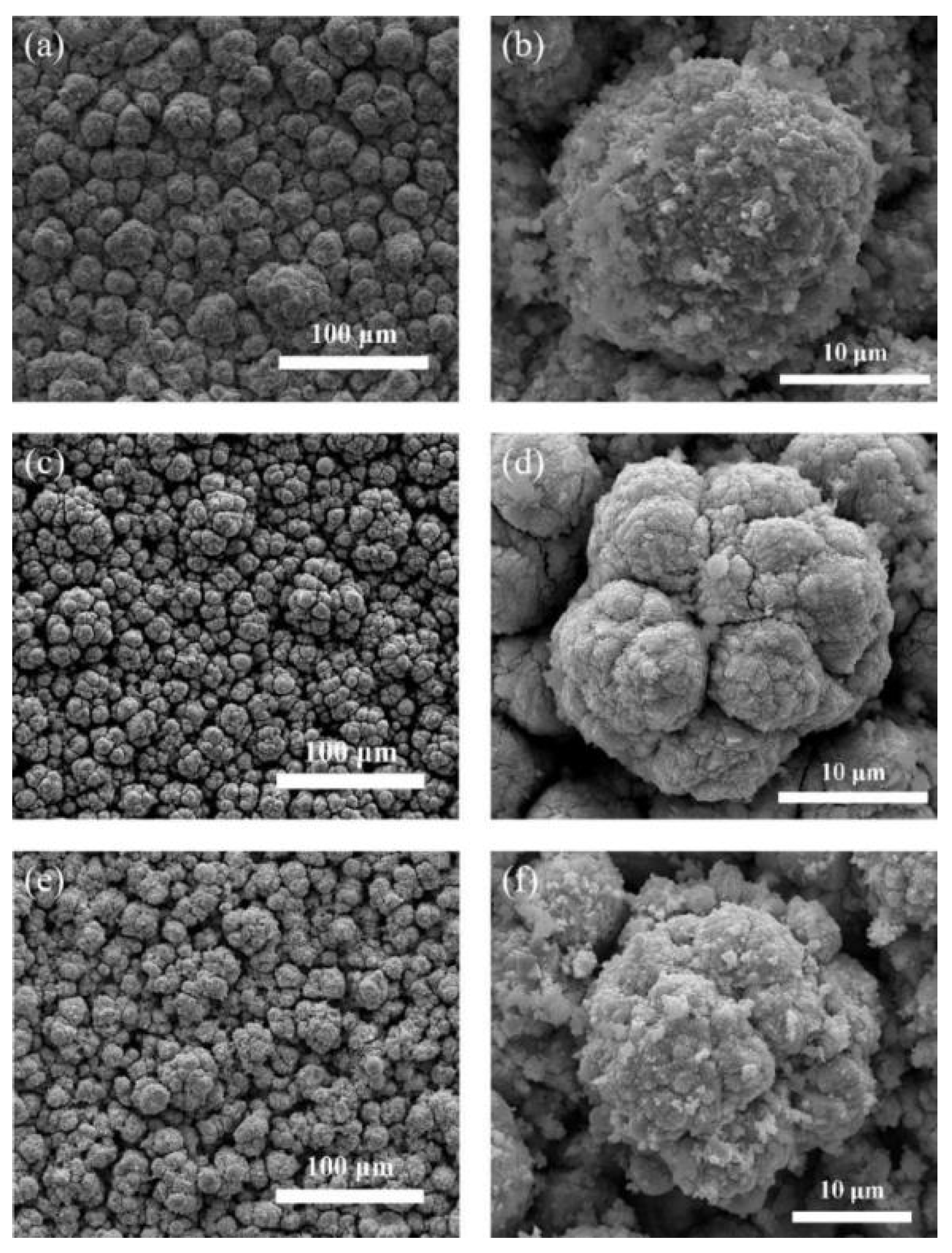 Coatings 10 00093 g003 Coatings 10 00093 g003