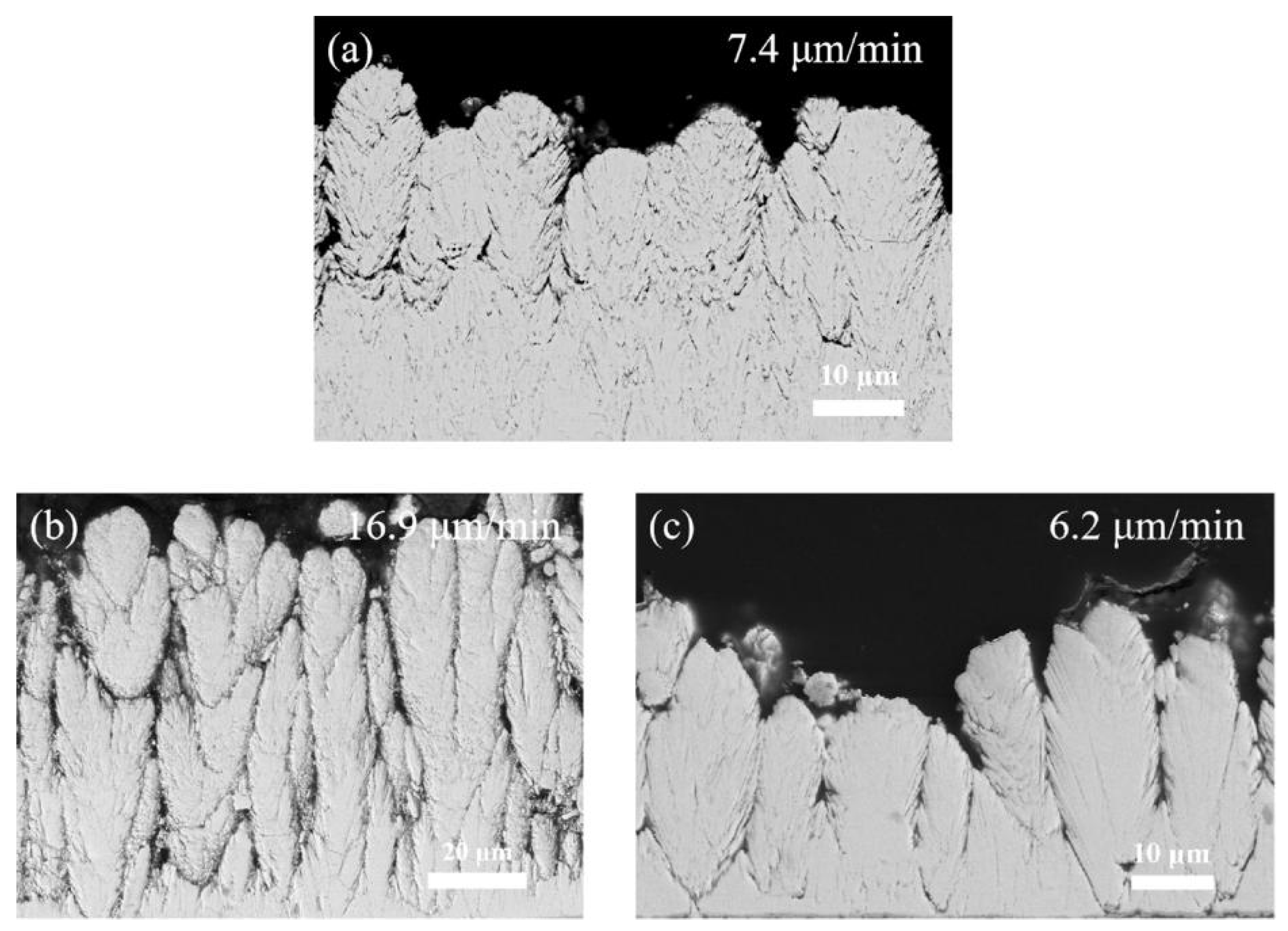 Coatings 10 00093 g004 Coatings 10 00093 g004