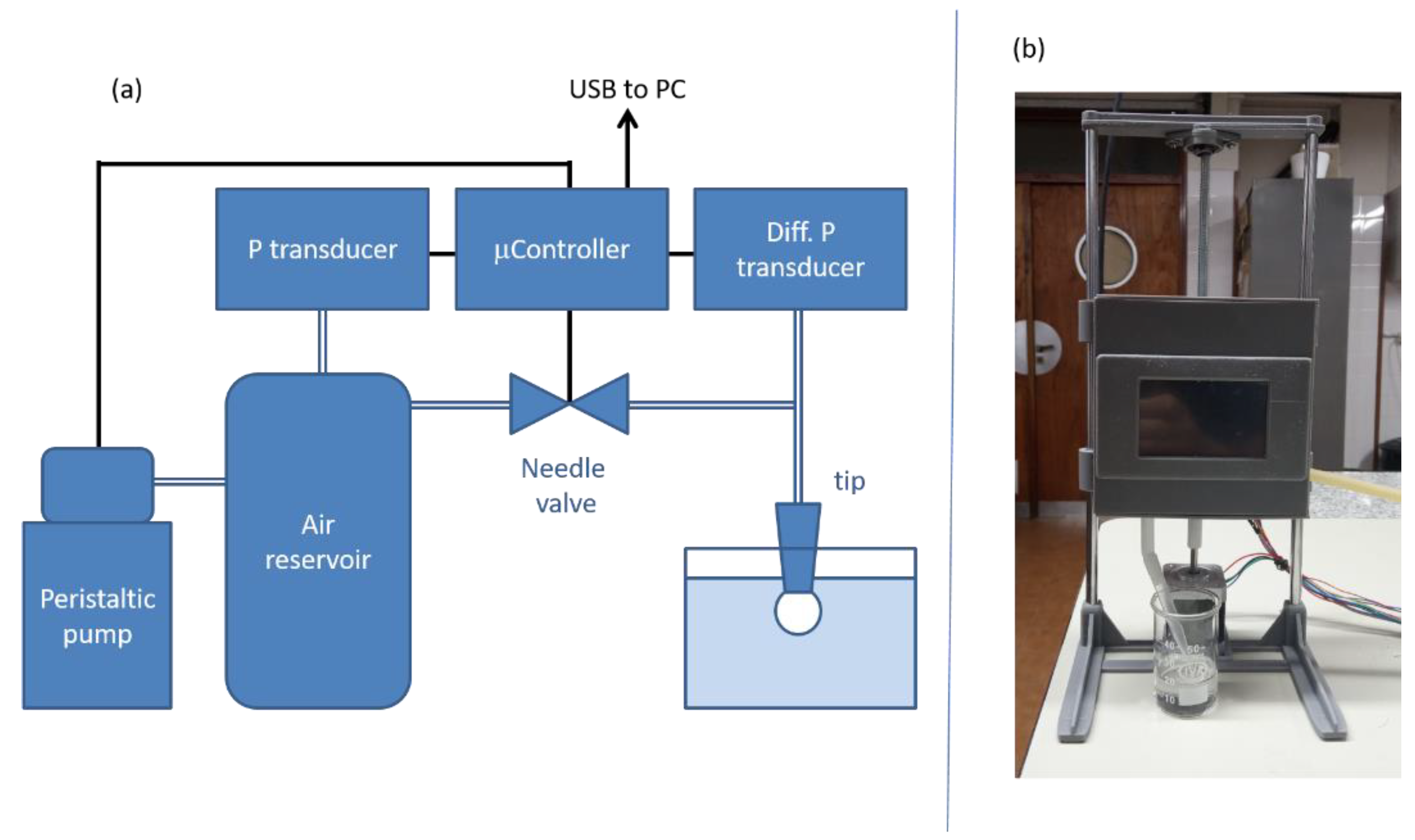 Coatings Free Full Text Adsorption Kinetics Of A Cationic