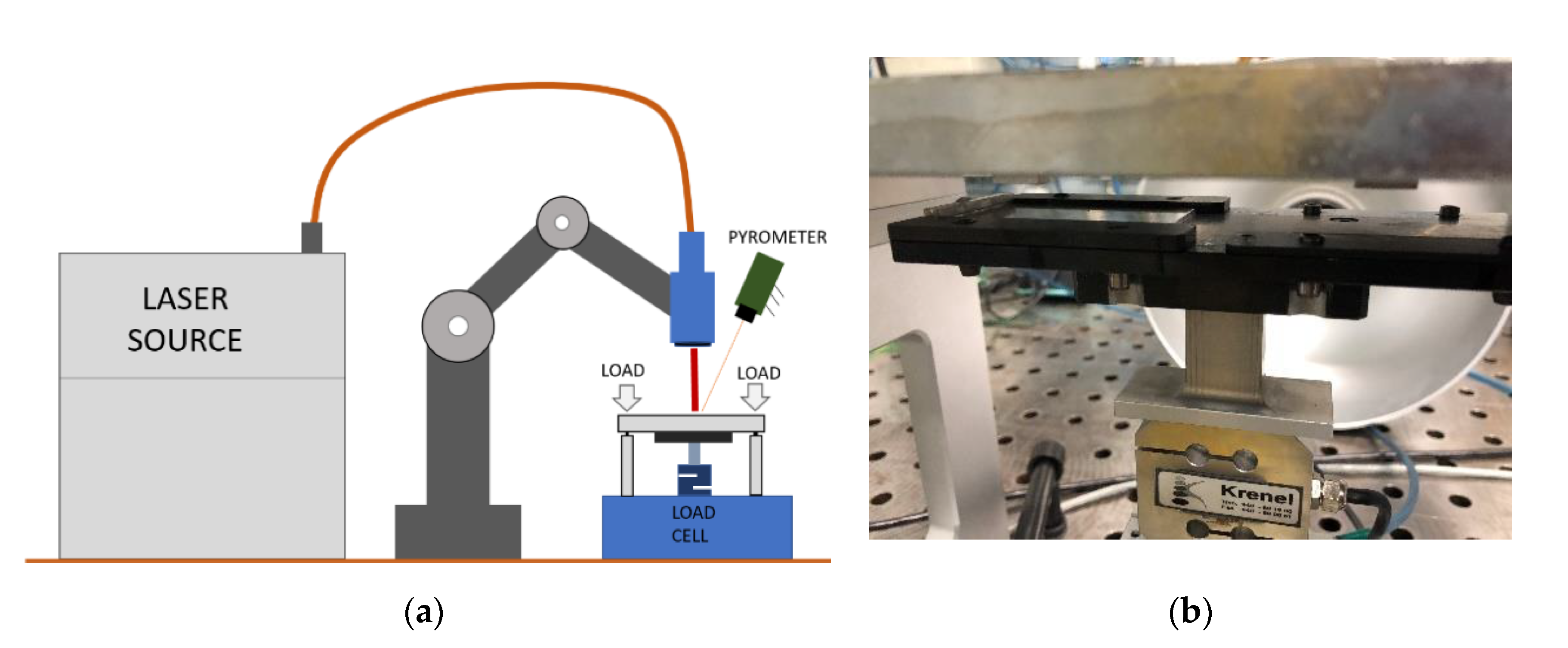 Coatings 10 00096 g005 Coatings 10 00096 g005