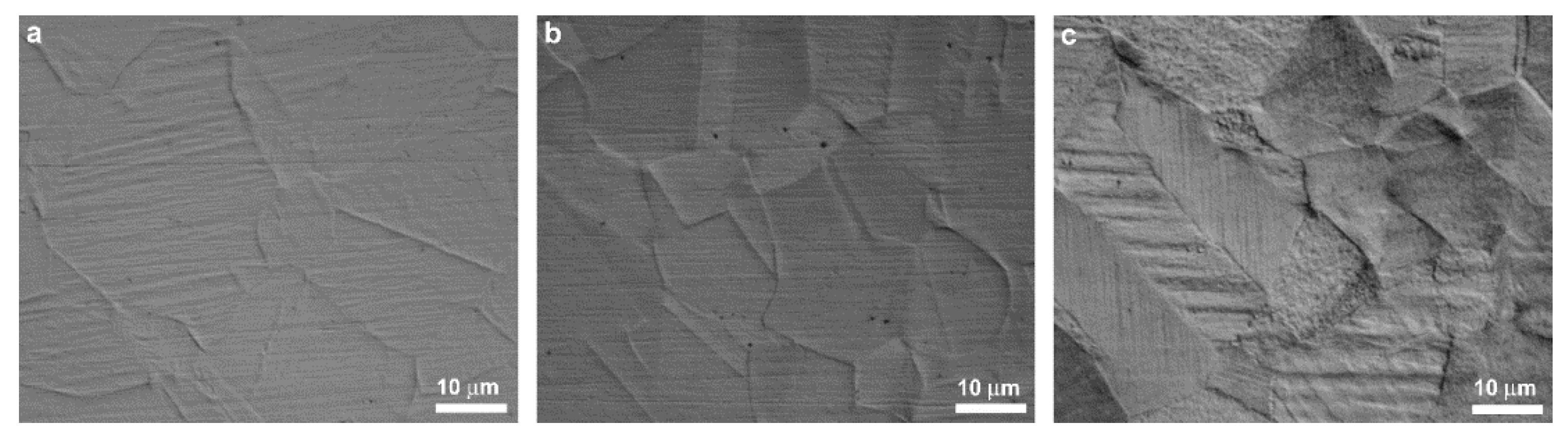 Coatings 10 00098 g004