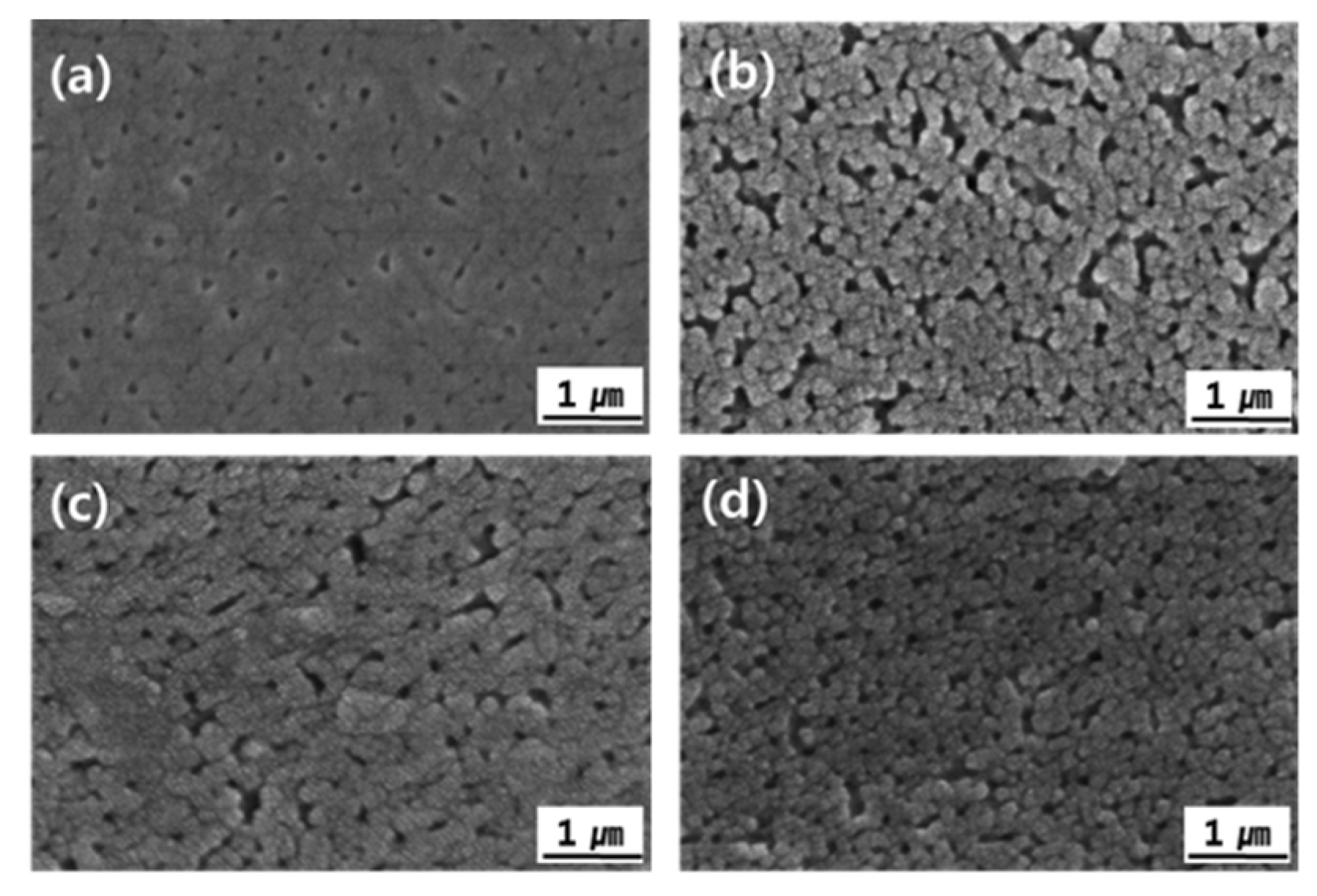 Coatings 10 00103 g005 Coatings 10 00103 g005