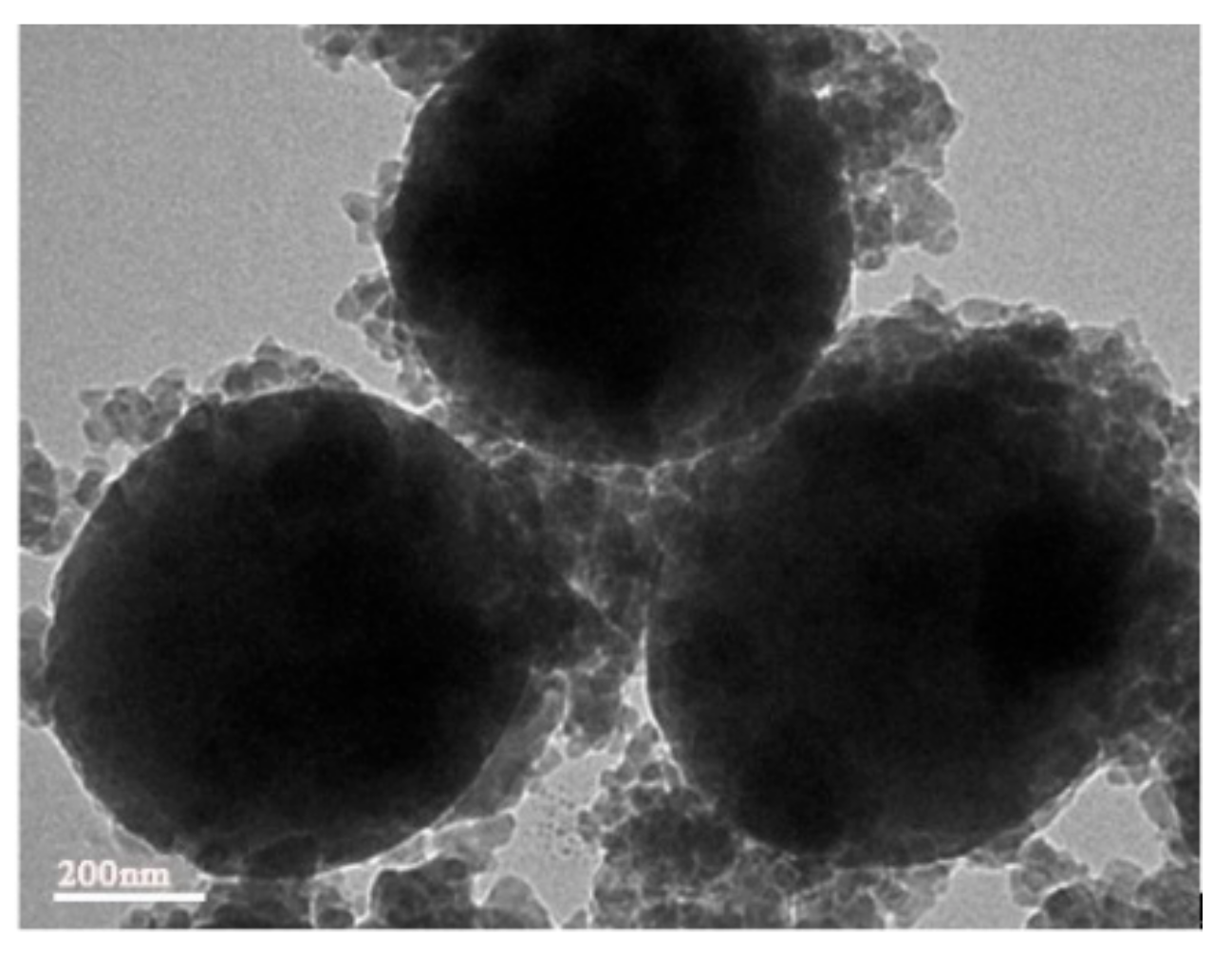 Coatings 10 00106 g004 Coatings 10 00106 g004