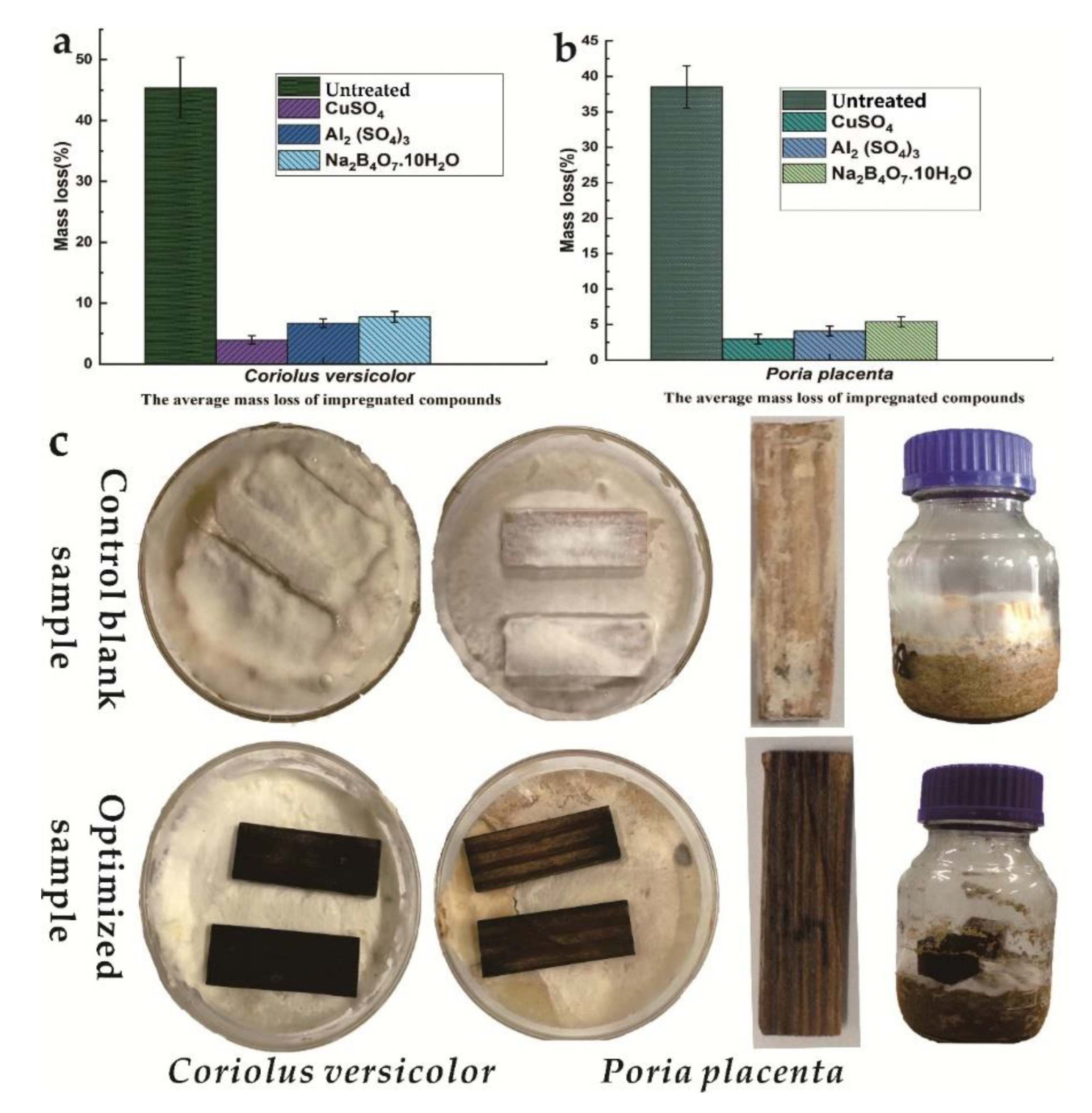 Coatings 10 00108 g001