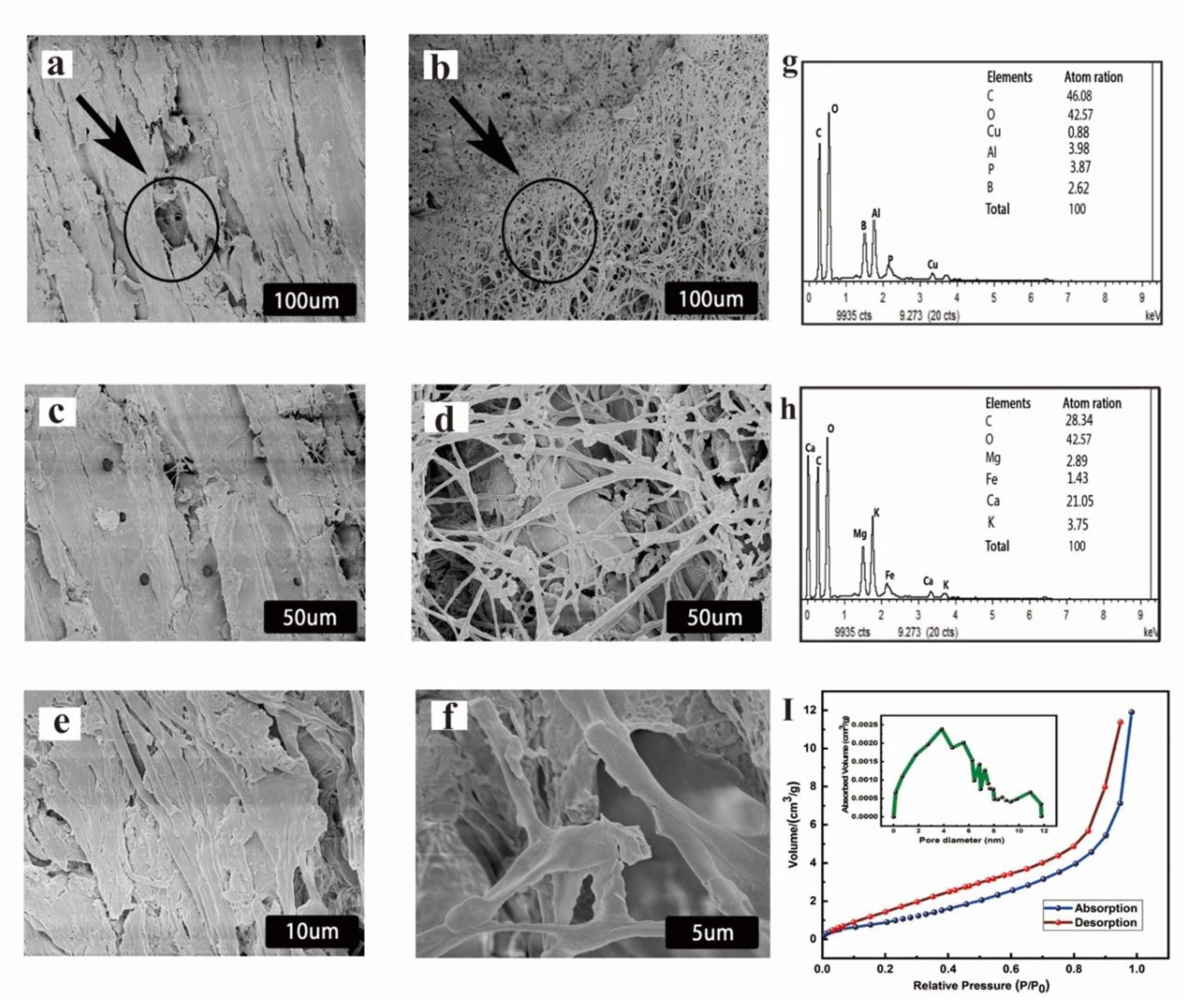 Coatings 10 00108 g003