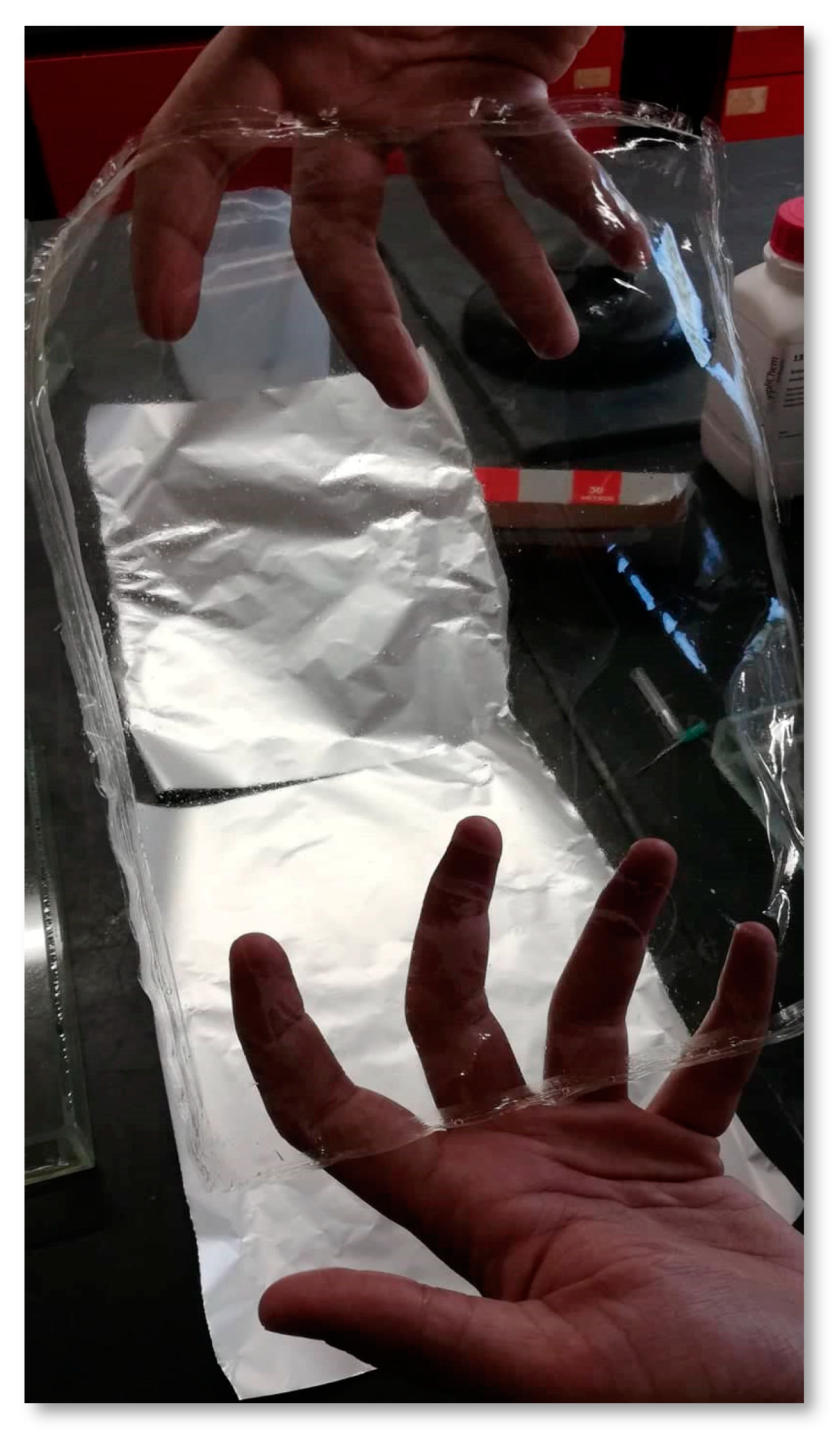 Coatings 10 00110 g001 Coatings 10 00110 g001