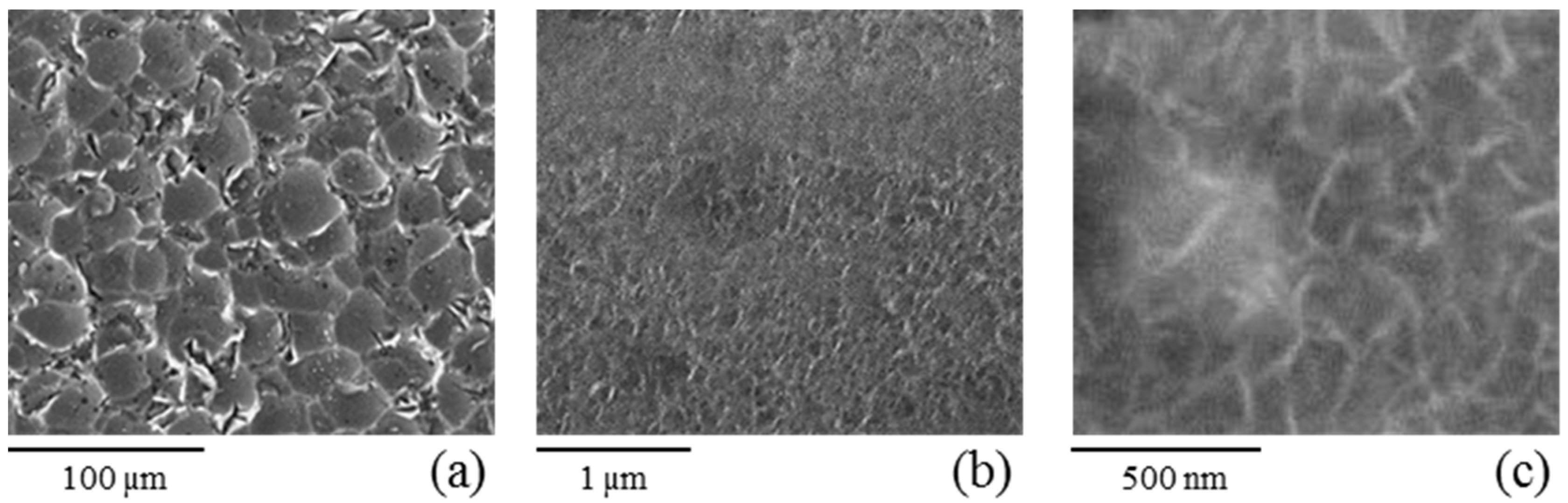 Coatings 10 00111 g001 Coatings 10 00111 g001
