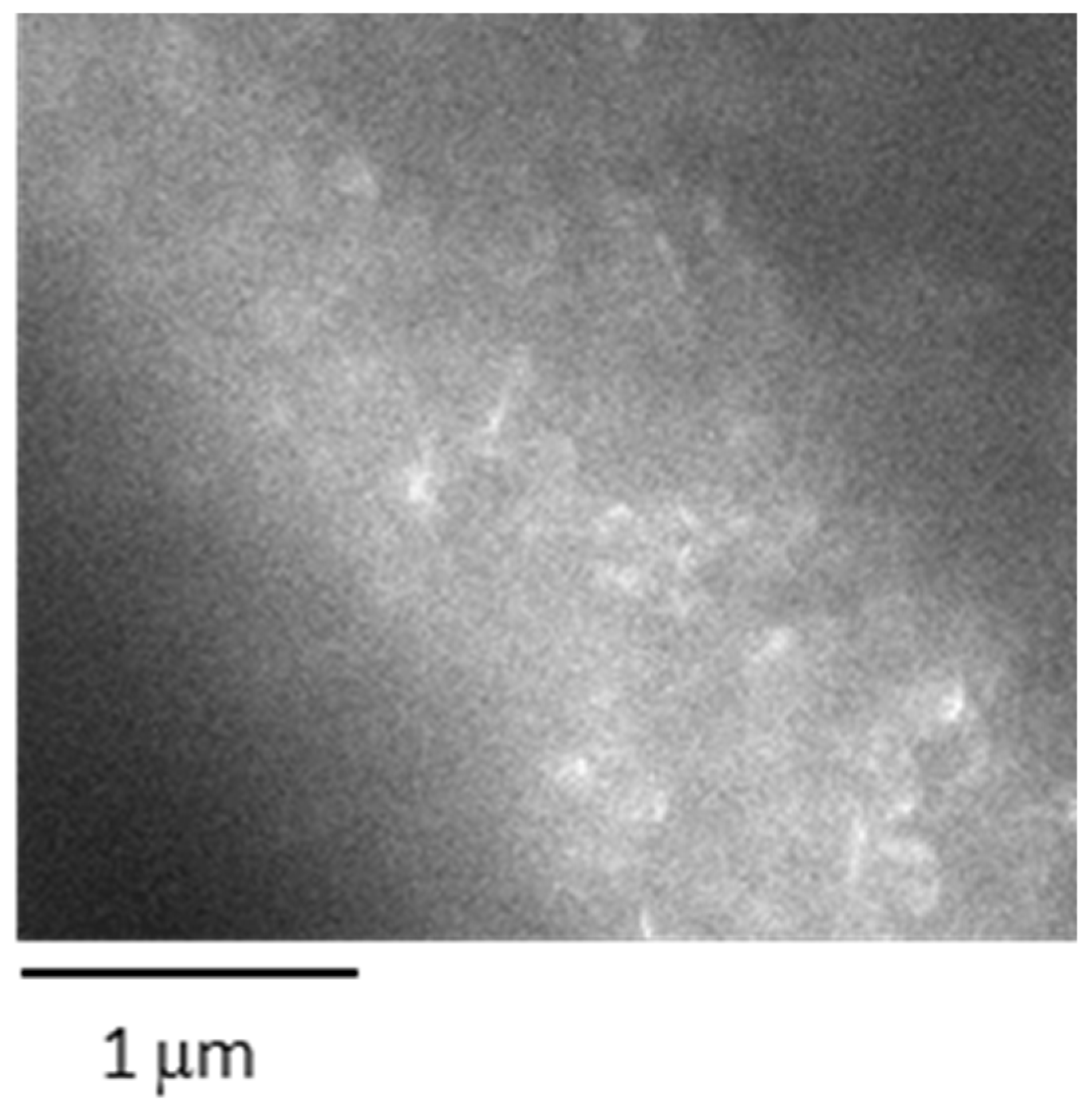 Coatings 10 00111 g002 Coatings 10 00111 g002
