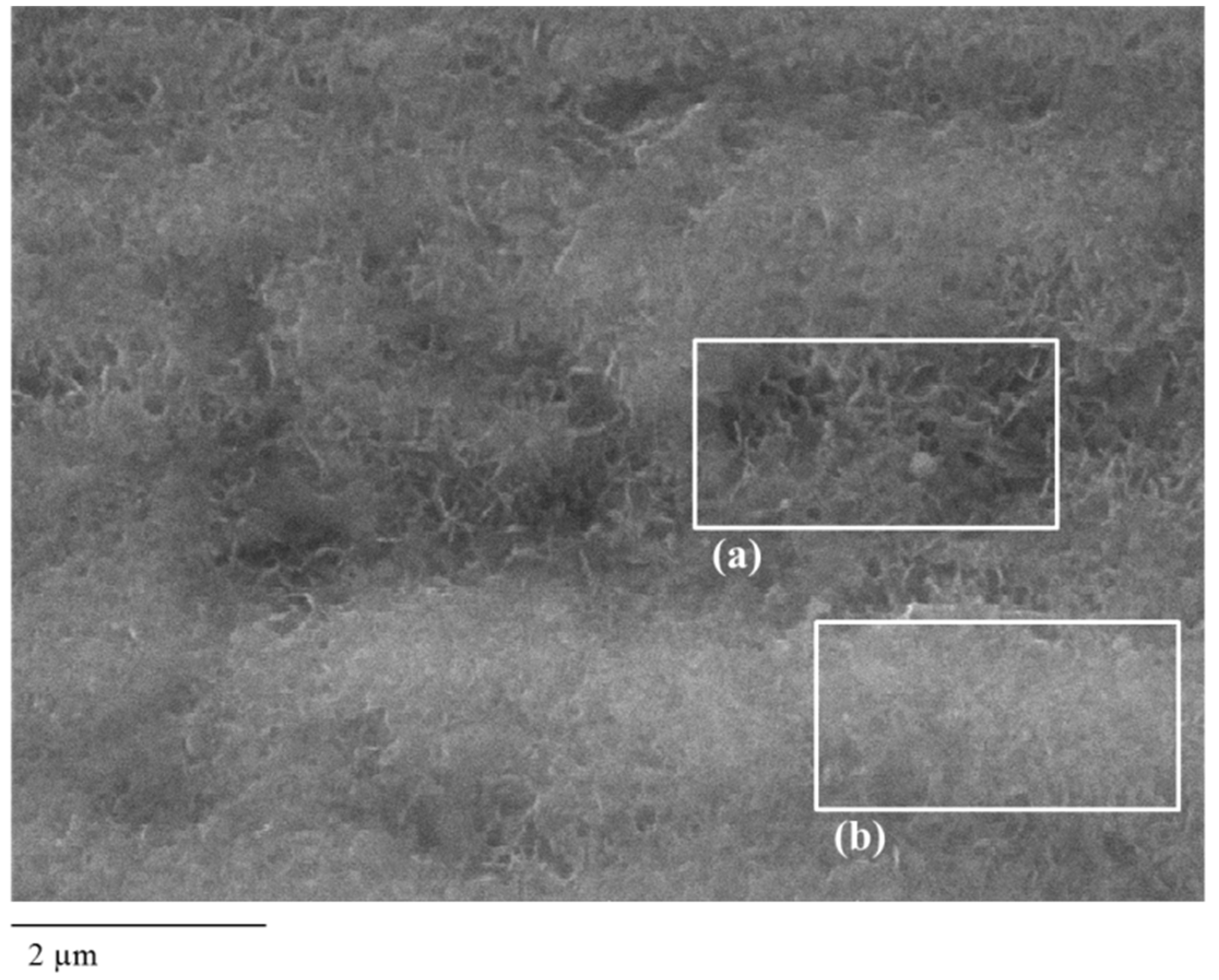 Coatings 10 00111 g011 Coatings 10 00111 g011