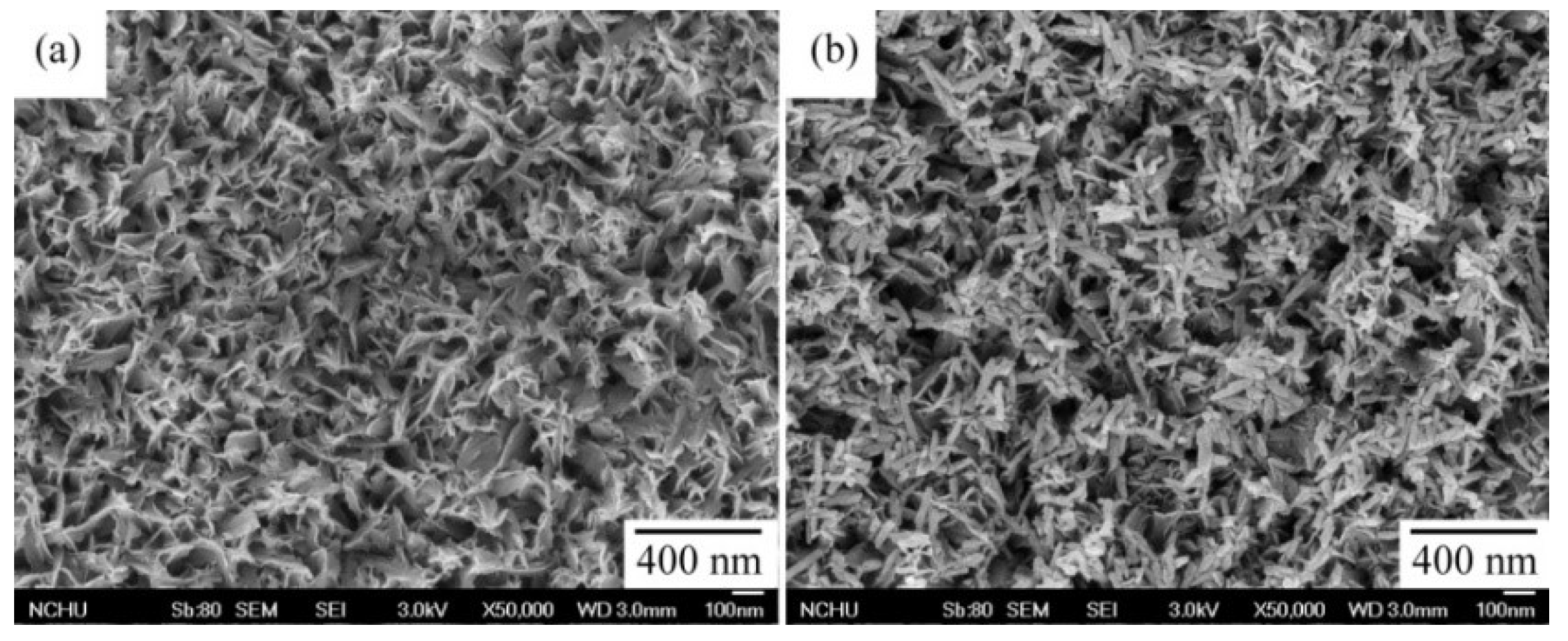 Coatings 10 00112 g005 Coatings 10 00112 g005