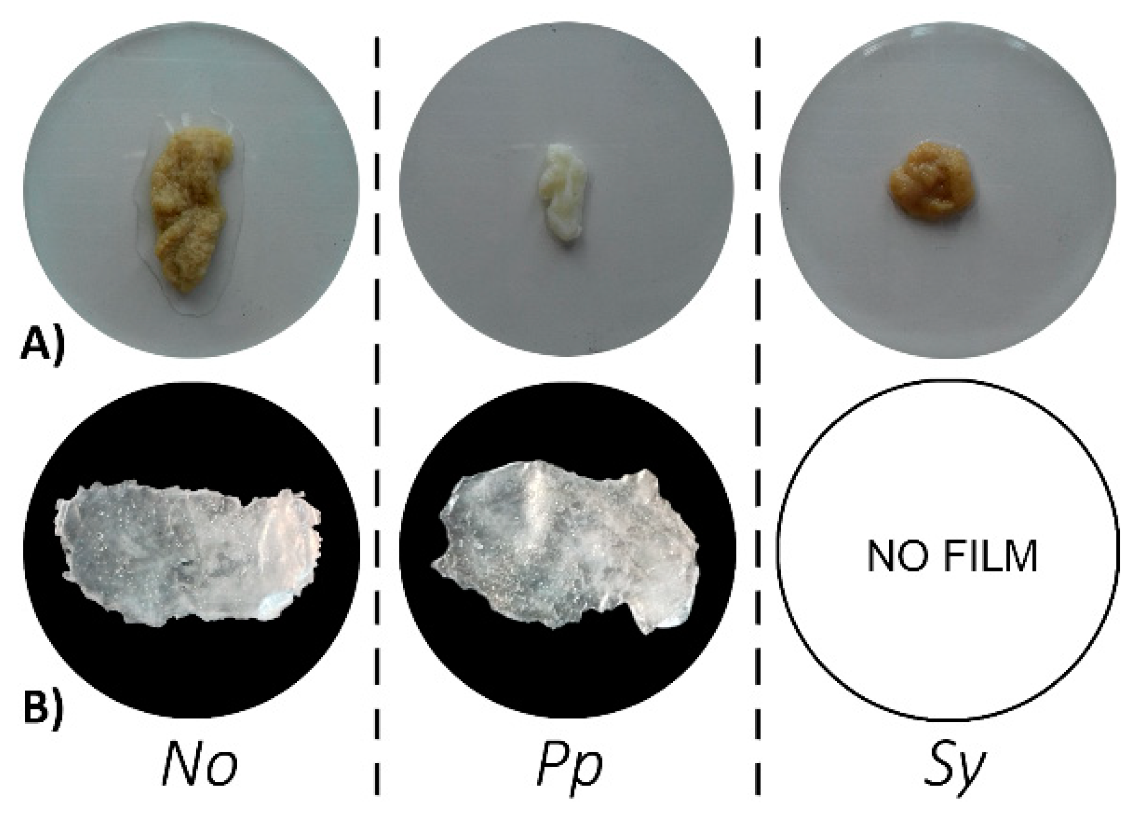 Coatings 10 00120 g002 Coatings 10 00120 g002