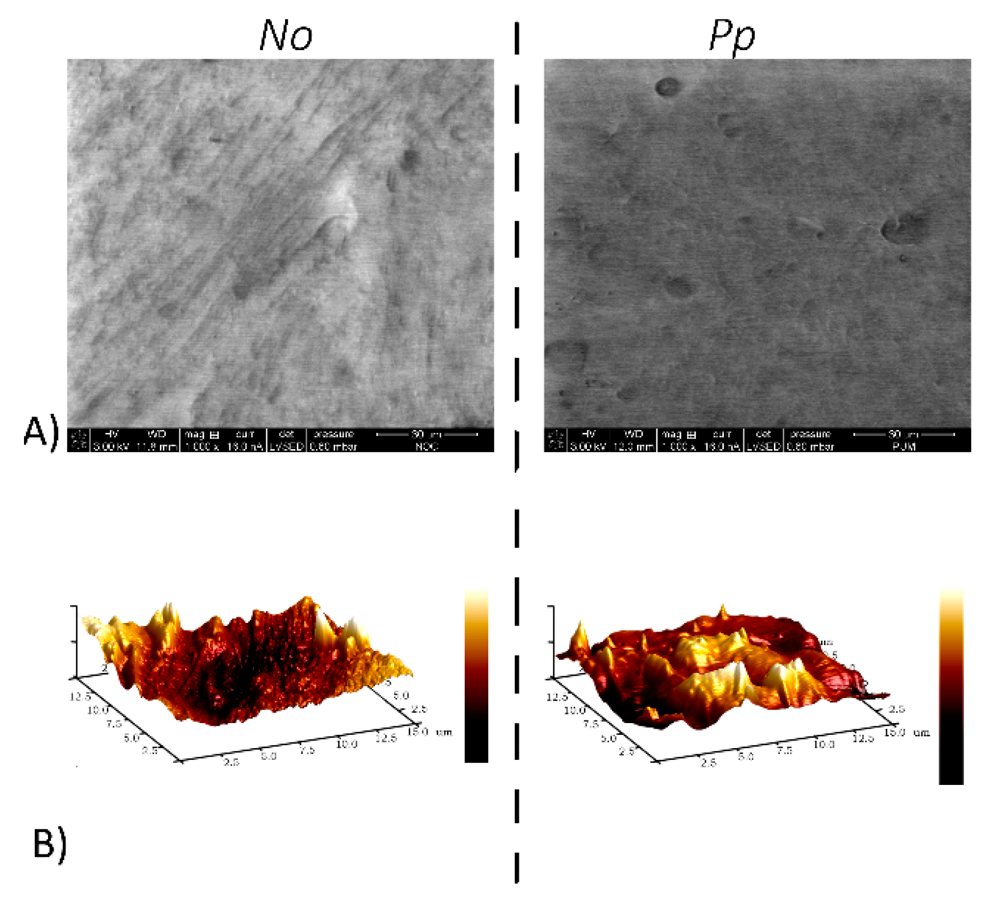 Coatings 10 00120 g003 Coatings 10 00120 g003