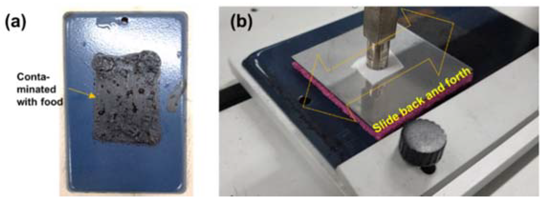 Coatings 10 00121 g002 550