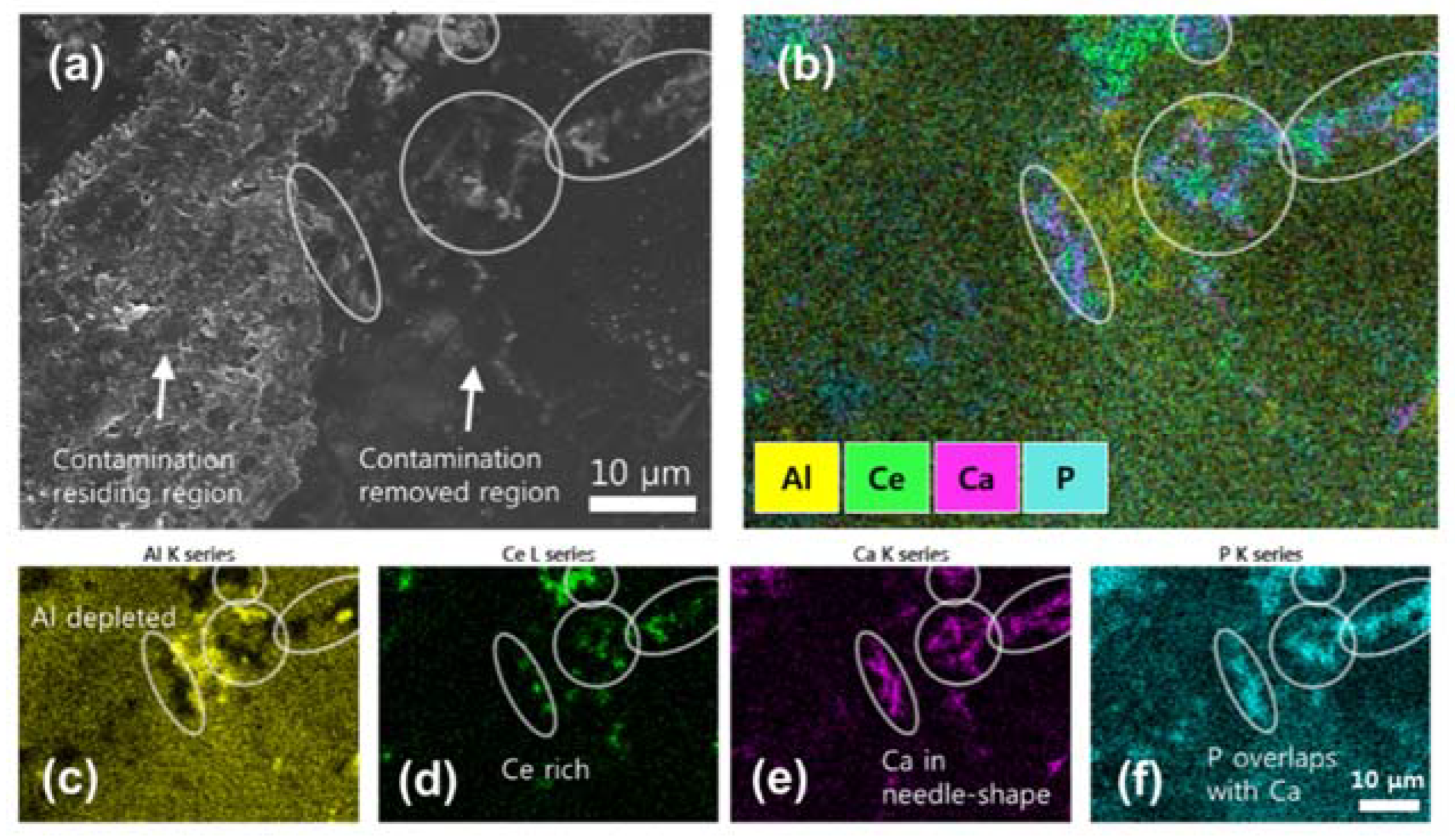 Coatings 10 00121 g007 550
