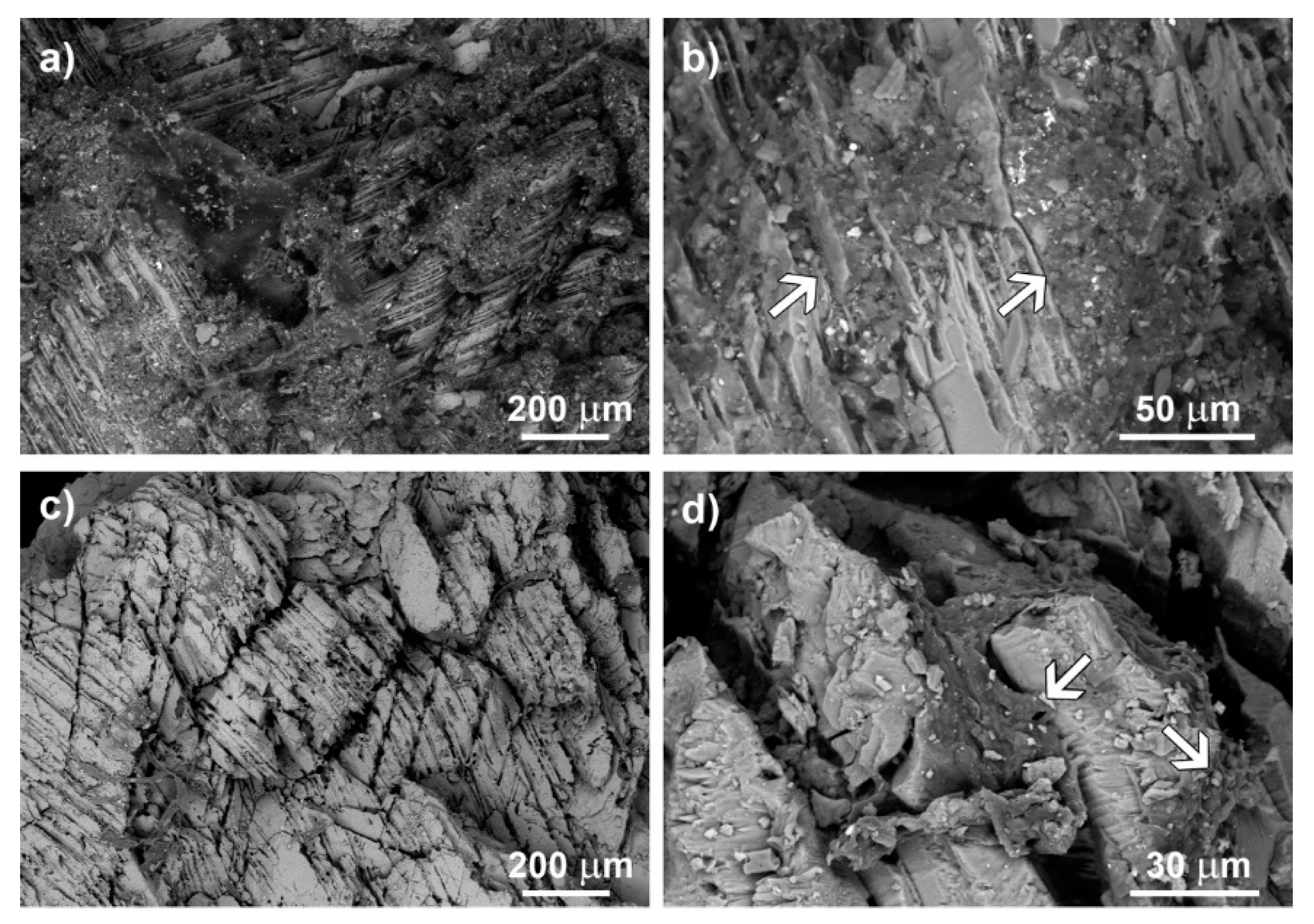 Coatings 10 00122 g003 Coatings 10 00122 g003