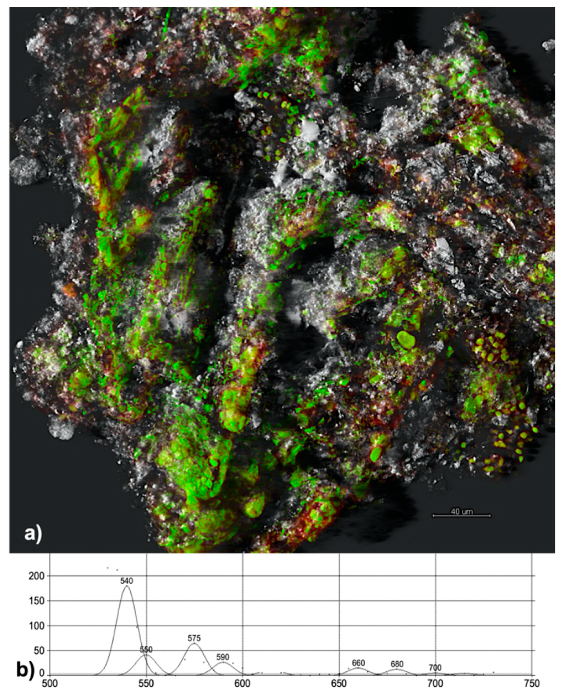 Coatings 10 00122 g005 Coatings 10 00122 g005