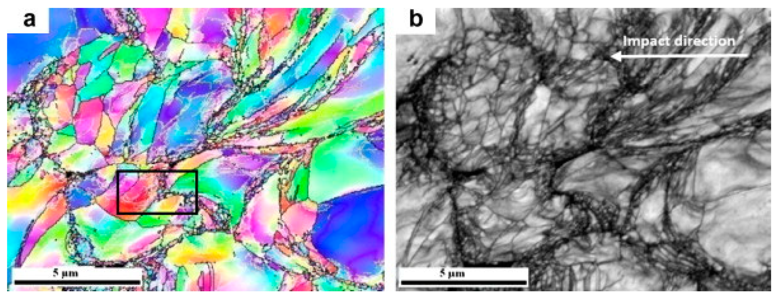 Coatings 10 00123 g013 Coatings 10 00123 g013