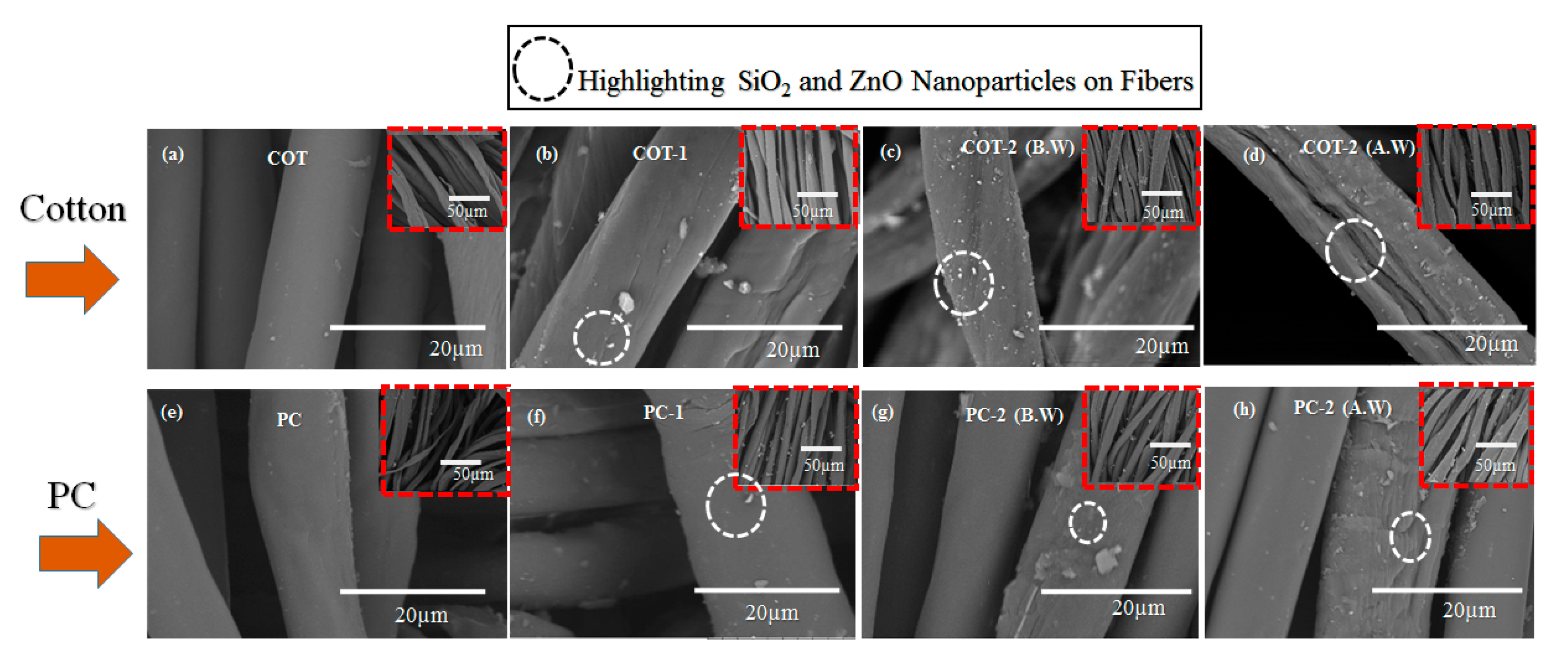 Coatings 10 00124 g003 Coatings 10 00124 g003