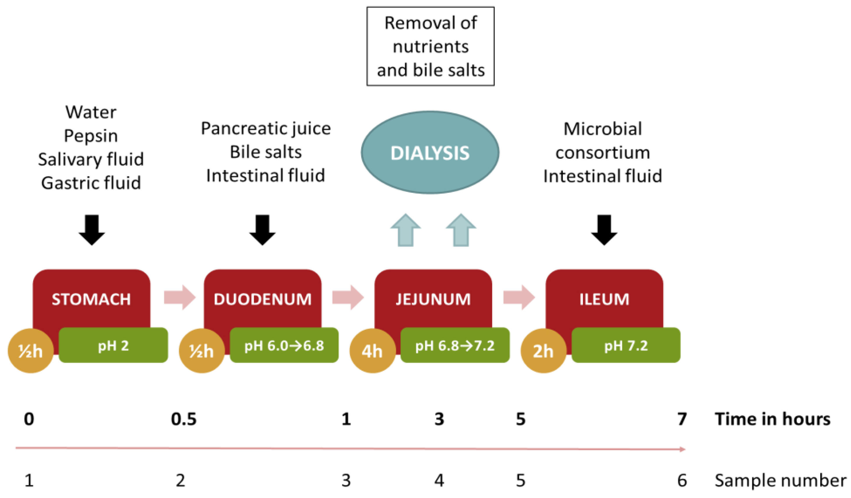 Coatings 10 00125 g005 Coatings 10 00125 g005