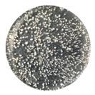 Coatings 10 00126 i005