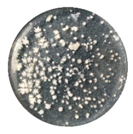 Coatings 10 00126 i013