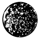 Coatings 10 00126 i015