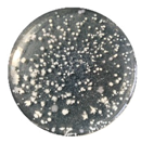 Coatings 10 00126 i017