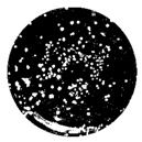 Coatings 10 00126 i020