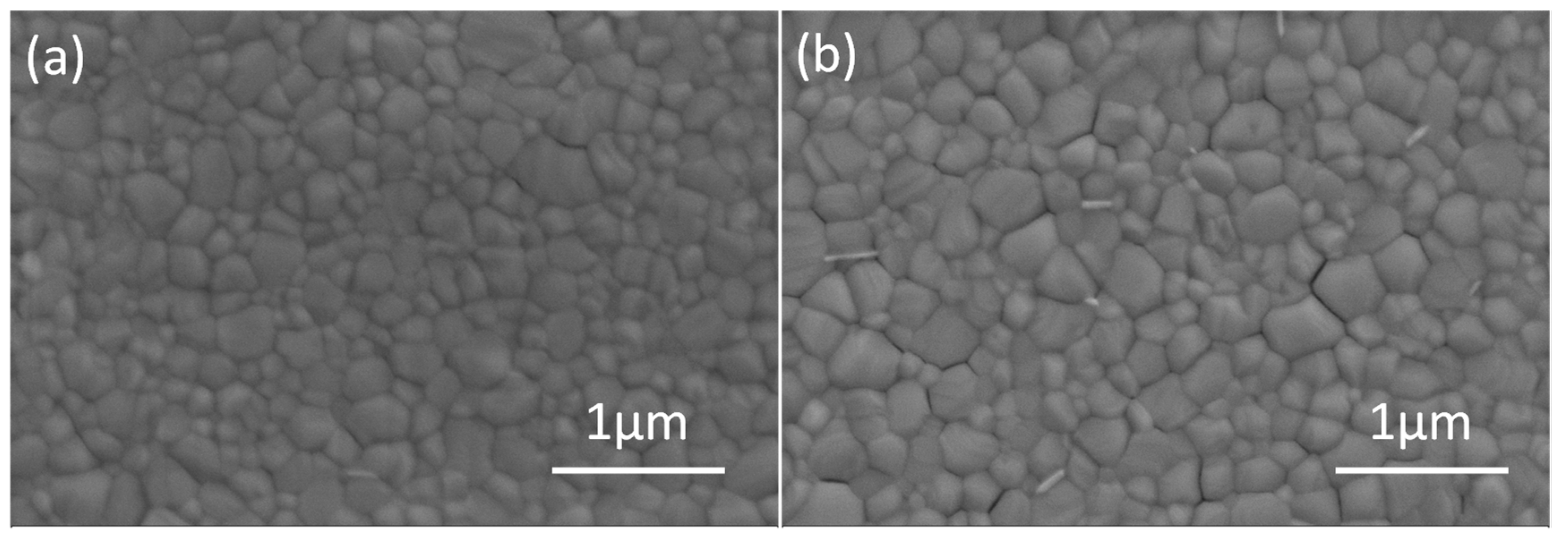 Coatings 10 00127 g004 Coatings 10 00127 g004