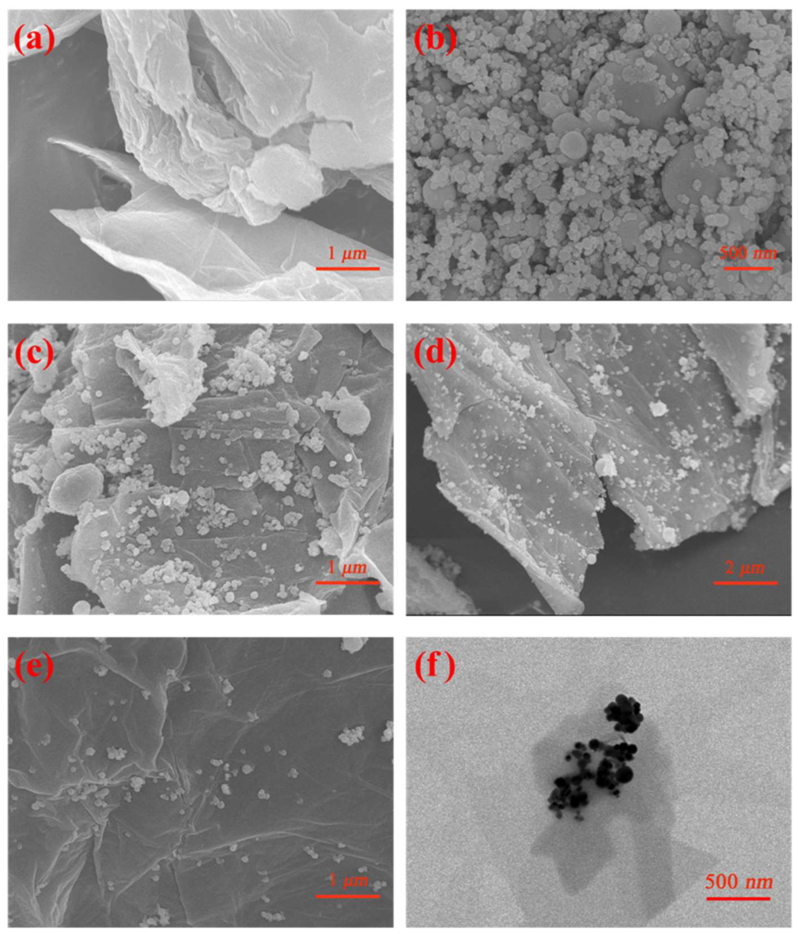 Coatings 10 00129 g004
