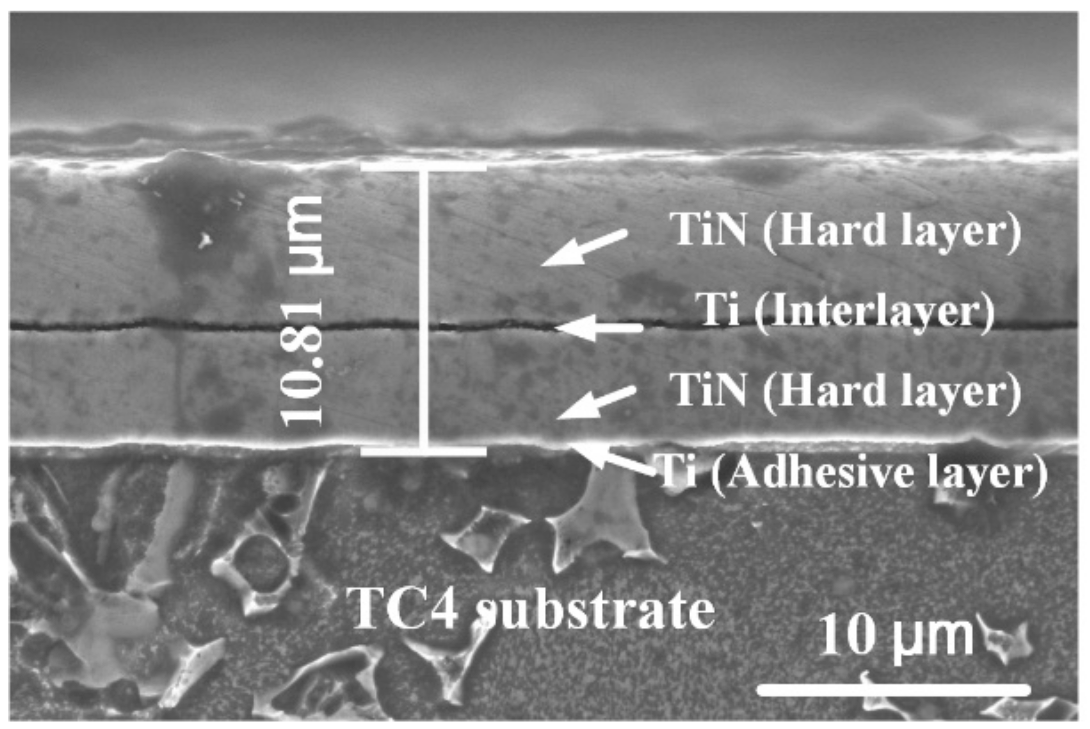 Coatings 10 00132 g001