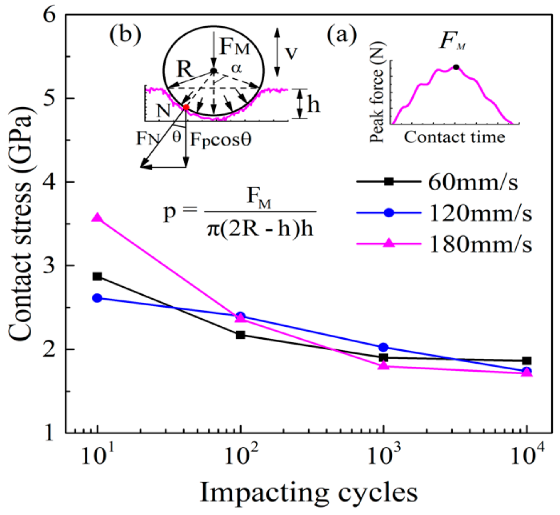 Coatings 10 00132 g007