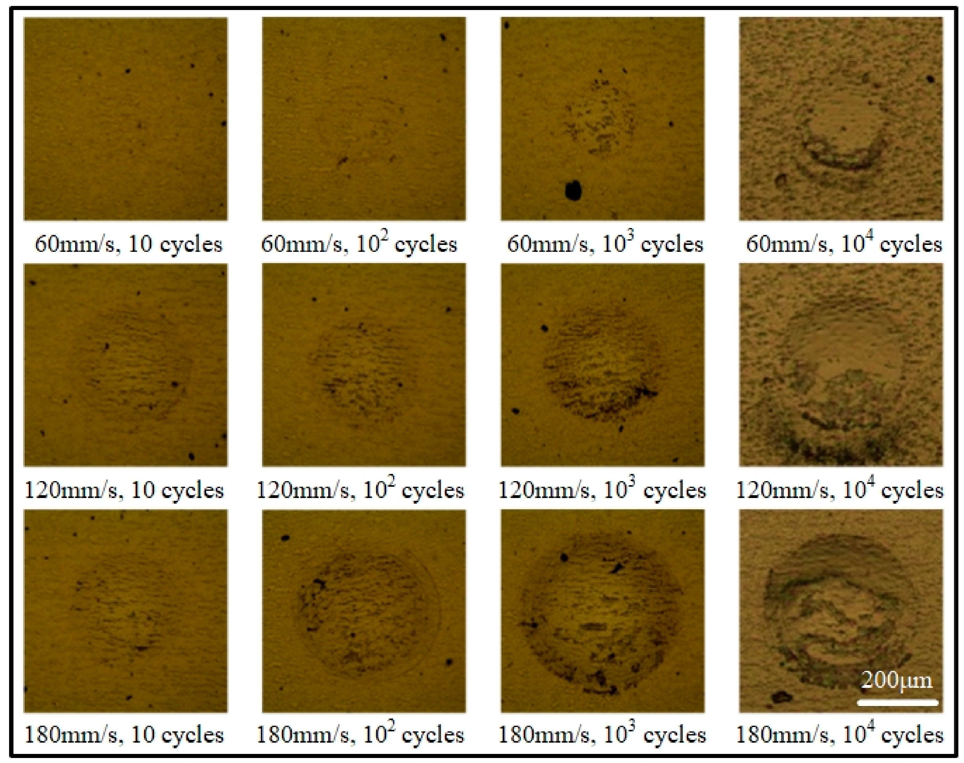 Coatings 10 00132 g008