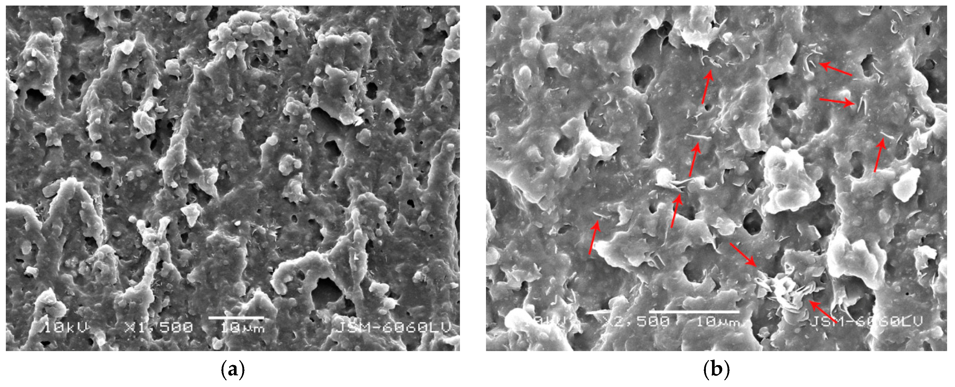 Coatings 10 00136 g015