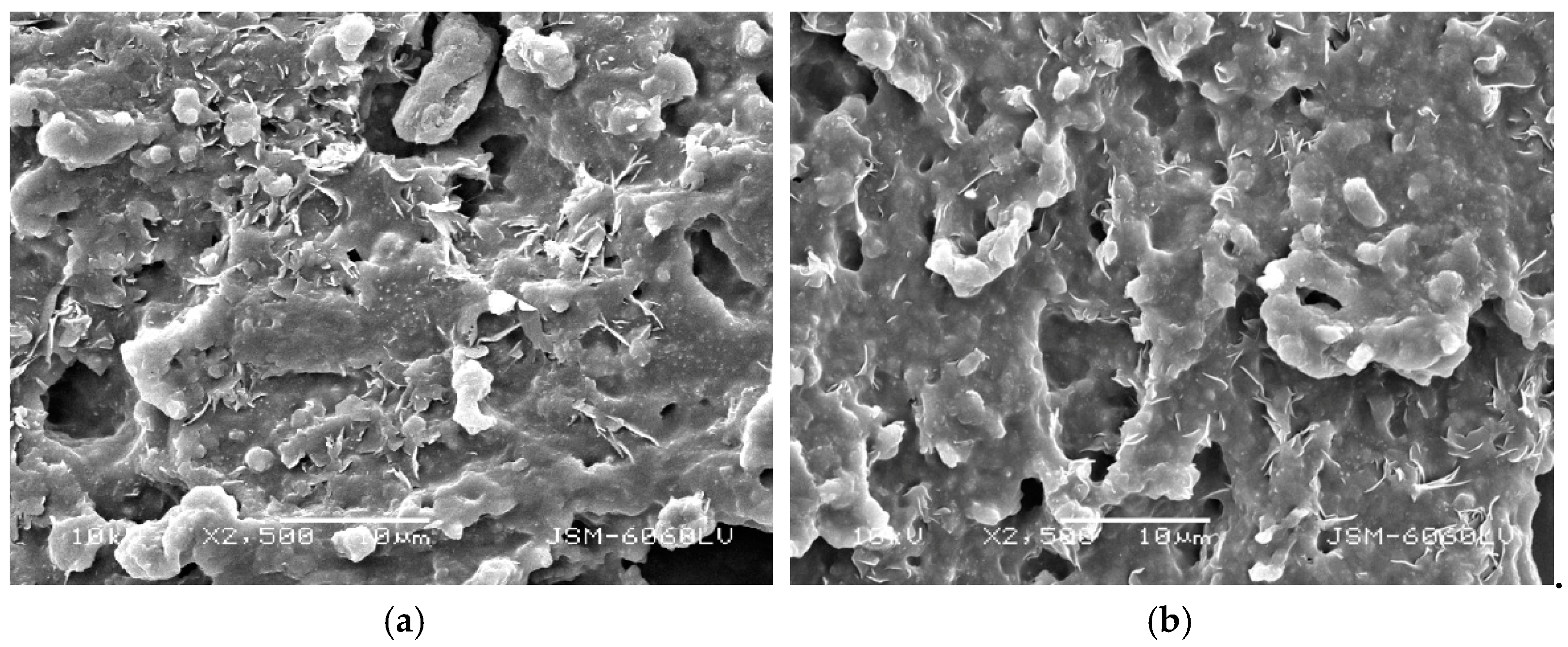 Coatings 10 00136 g016