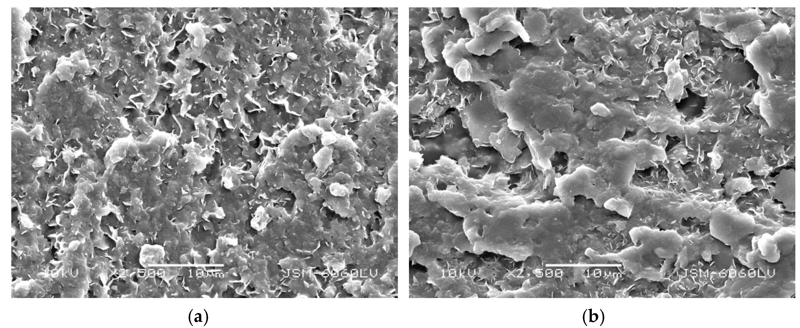 Coatings 10 00136 g017