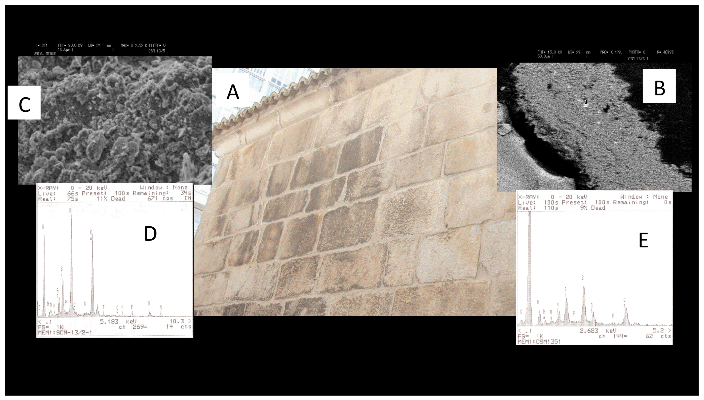 Coatings 10 00137 g006 550