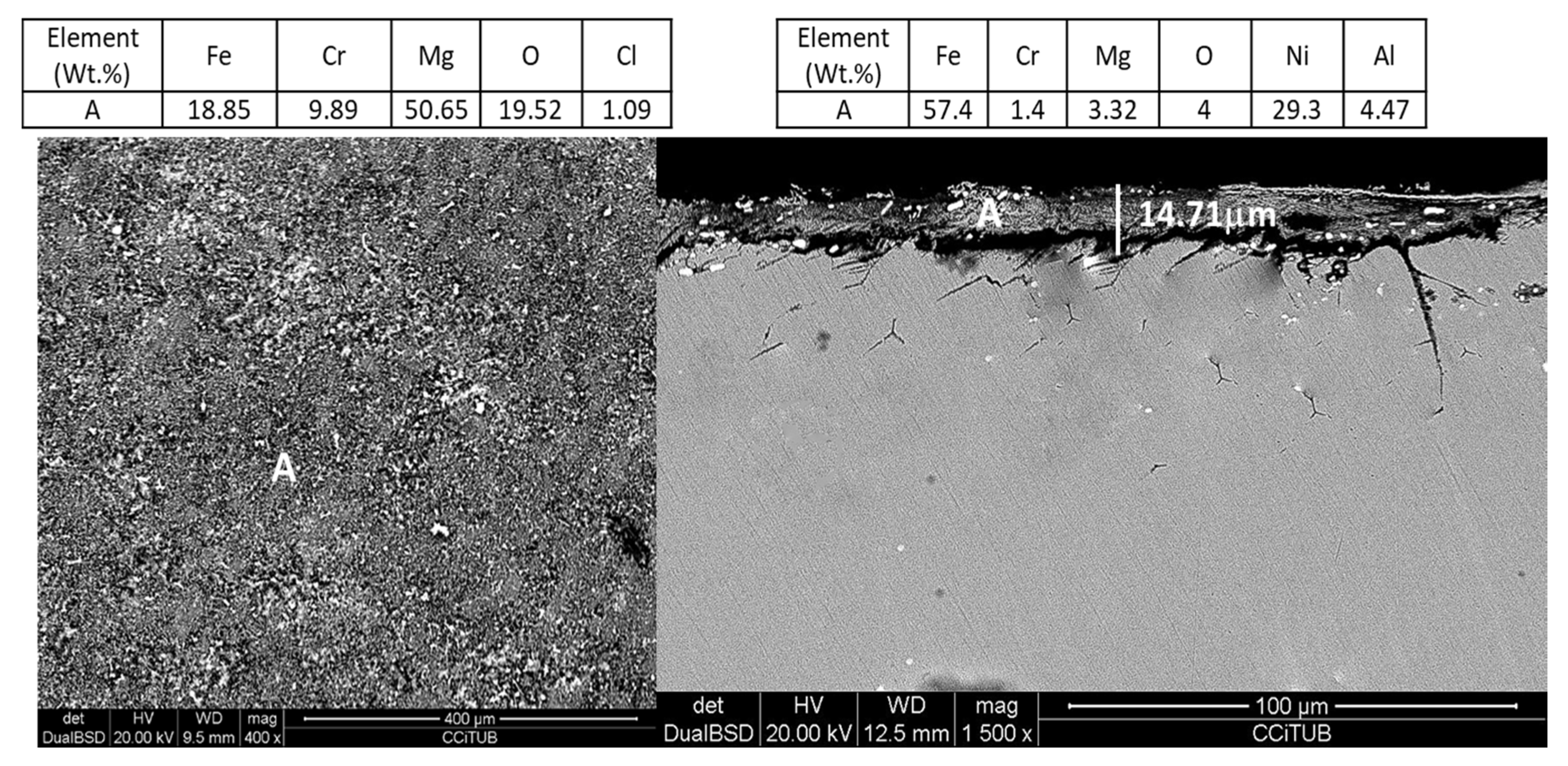 Coatings 10 00138 g004 Coatings 10 00138 g004