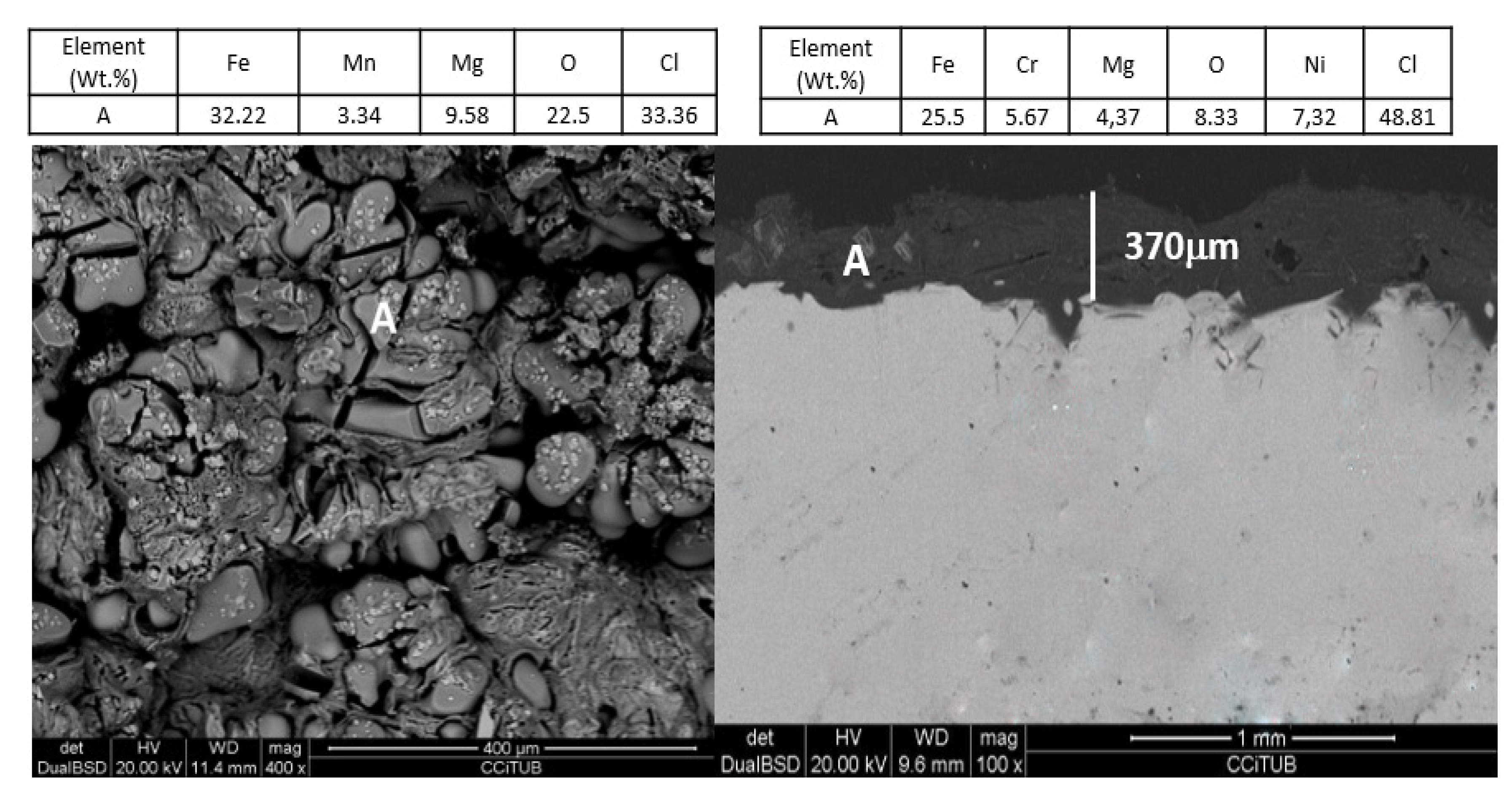 Coatings 10 00138 g006 Coatings 10 00138 g006