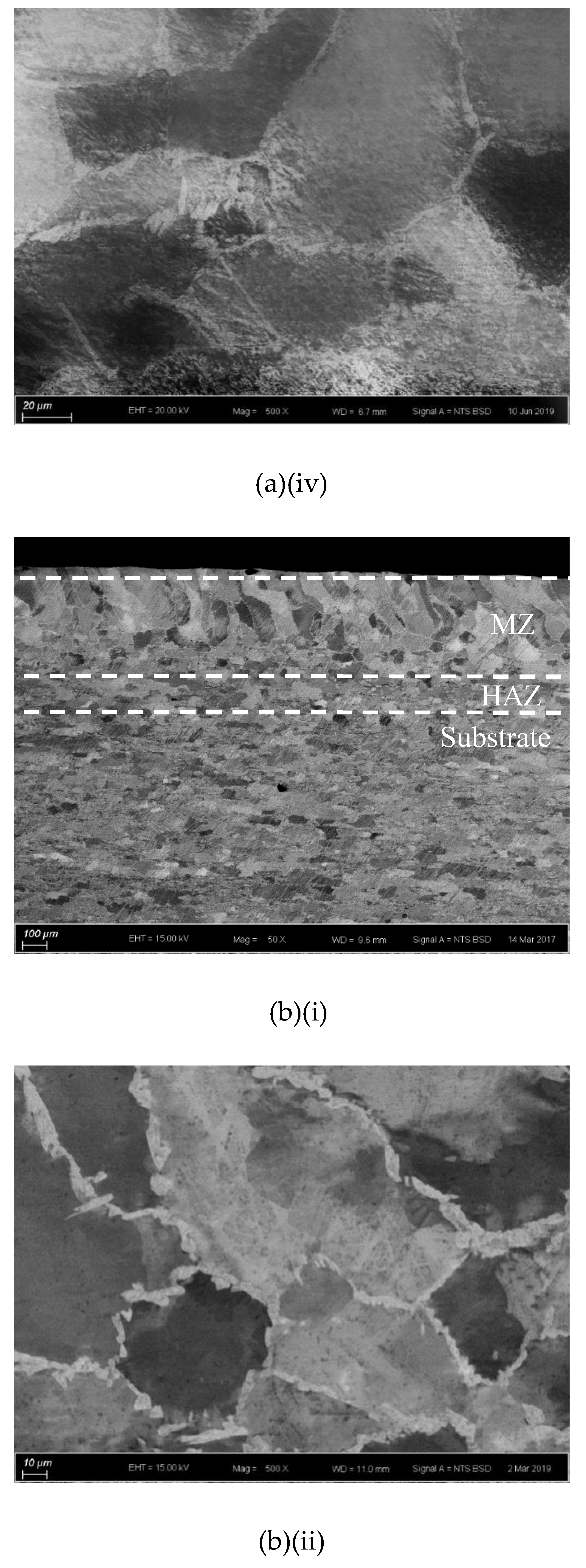 Coatings 10 00140 g002b Coatings 10 00140 g002b