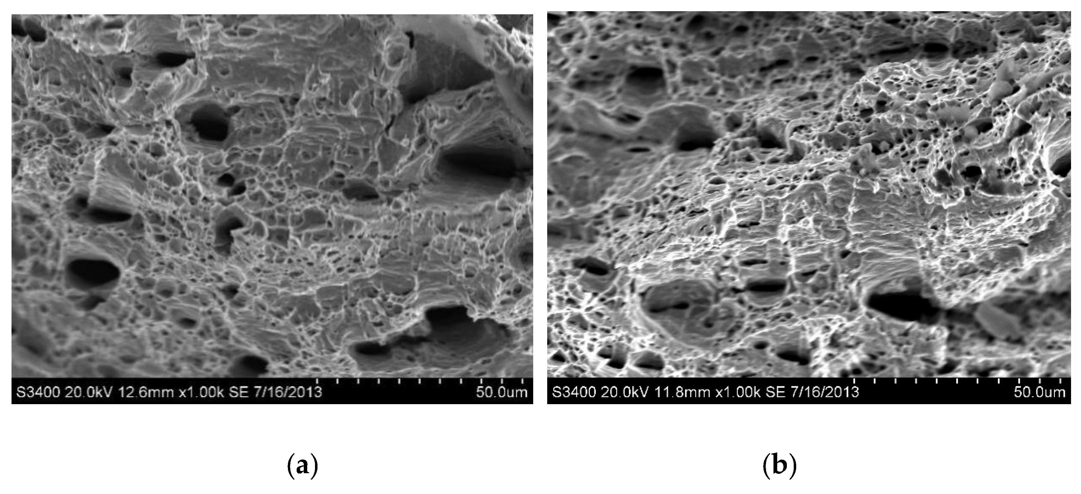 Coatings 10 00140 g006 Coatings 10 00140 g006