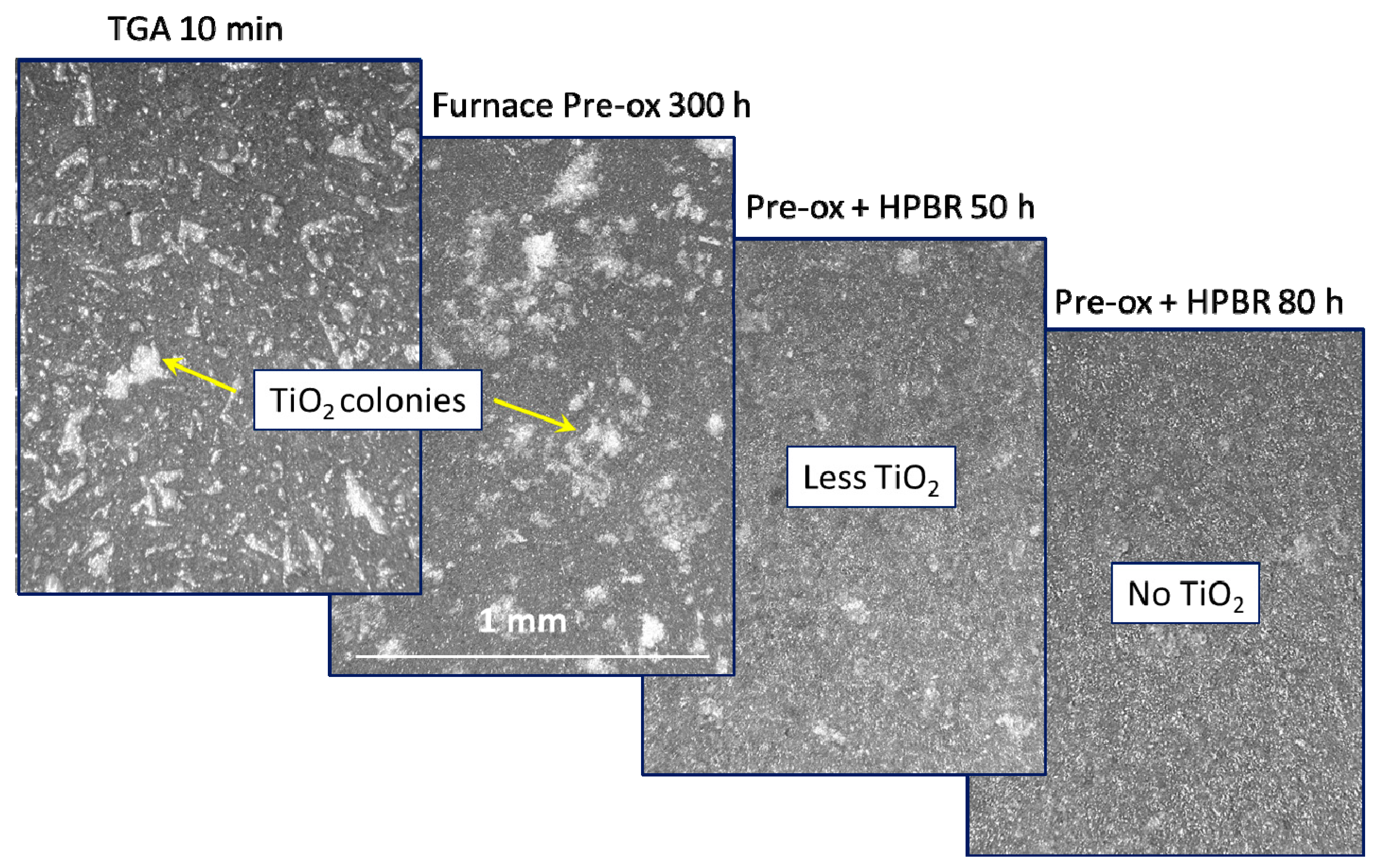 Coatings 10 00142 g004