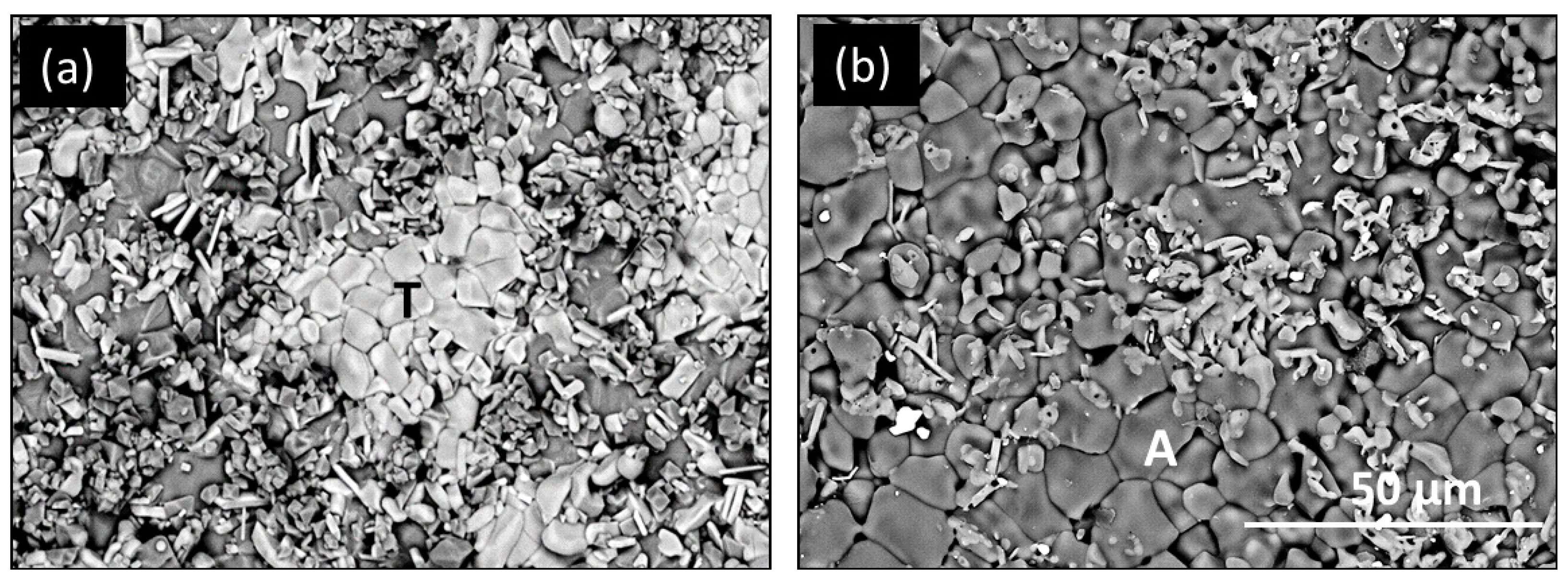 Coatings 10 00142 g005