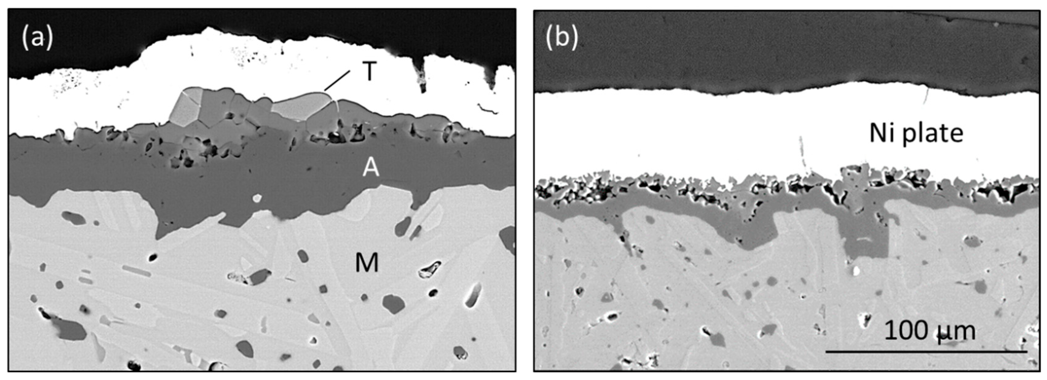 Coatings 10 00142 g006