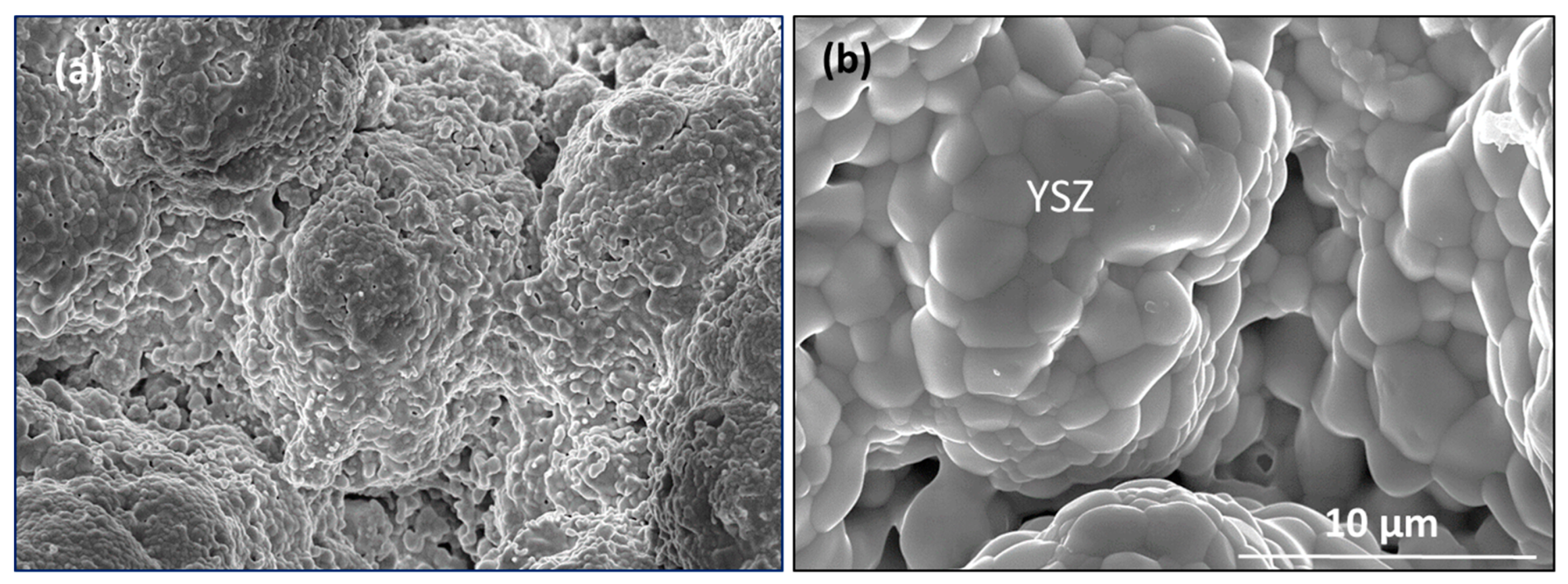 Coatings 10 00142 g009
