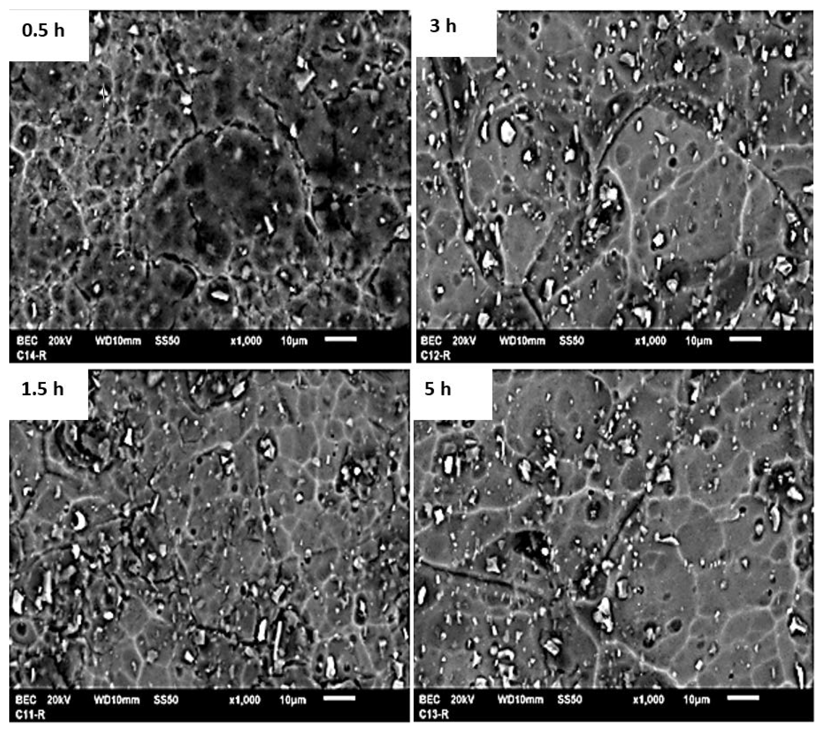 Coatings 10 00145 g004 Coatings 10 00145 g004