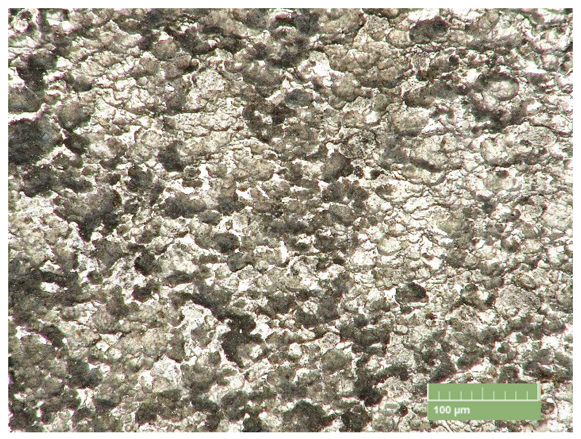 Coatings 10 00145 g005 Coatings 10 00145 g005