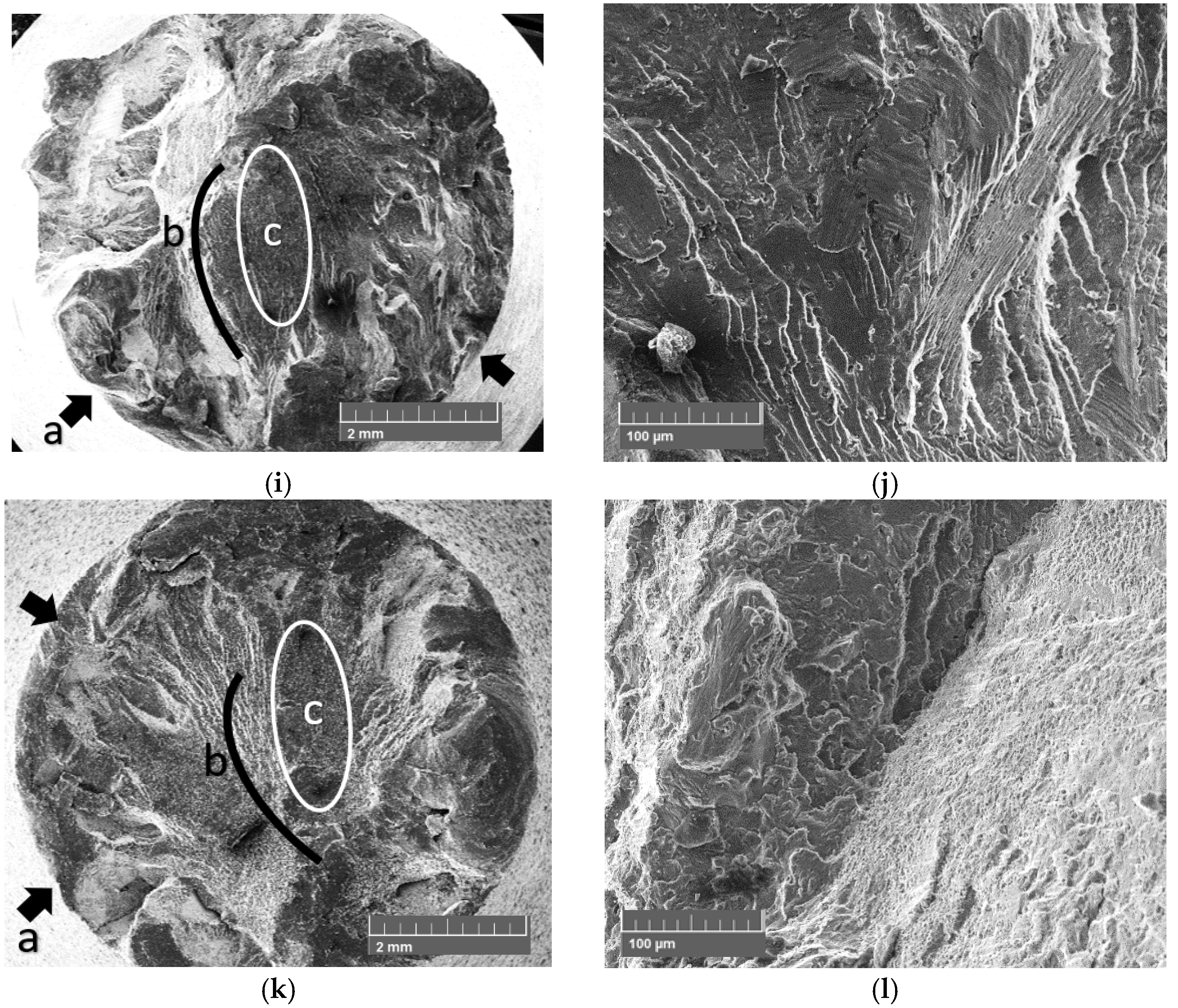 Coatings 10 00145 g009b Coatings 10 00145 g009b